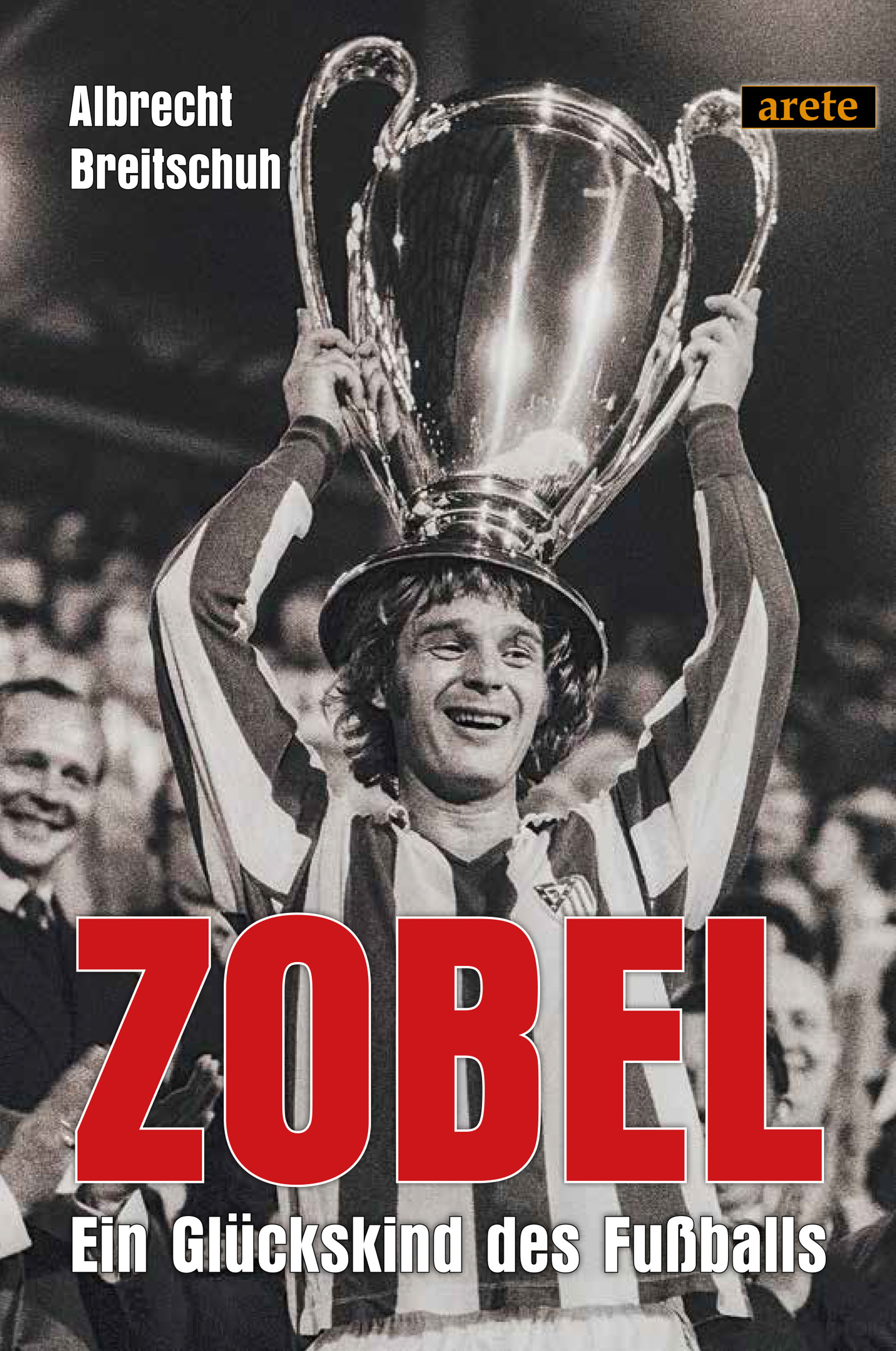 Обложка книги «Zobel»
