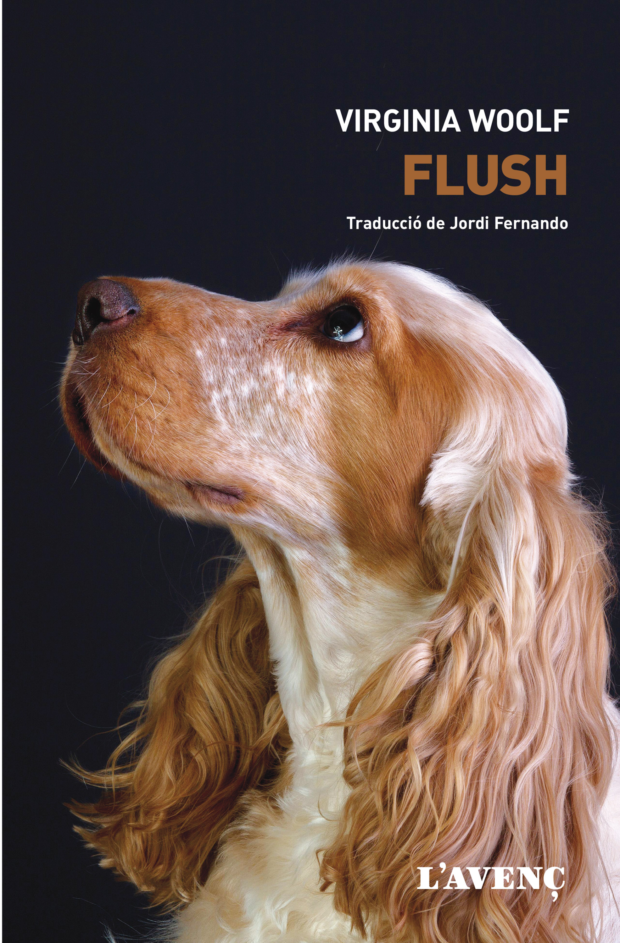 Обложка книги «Flush»