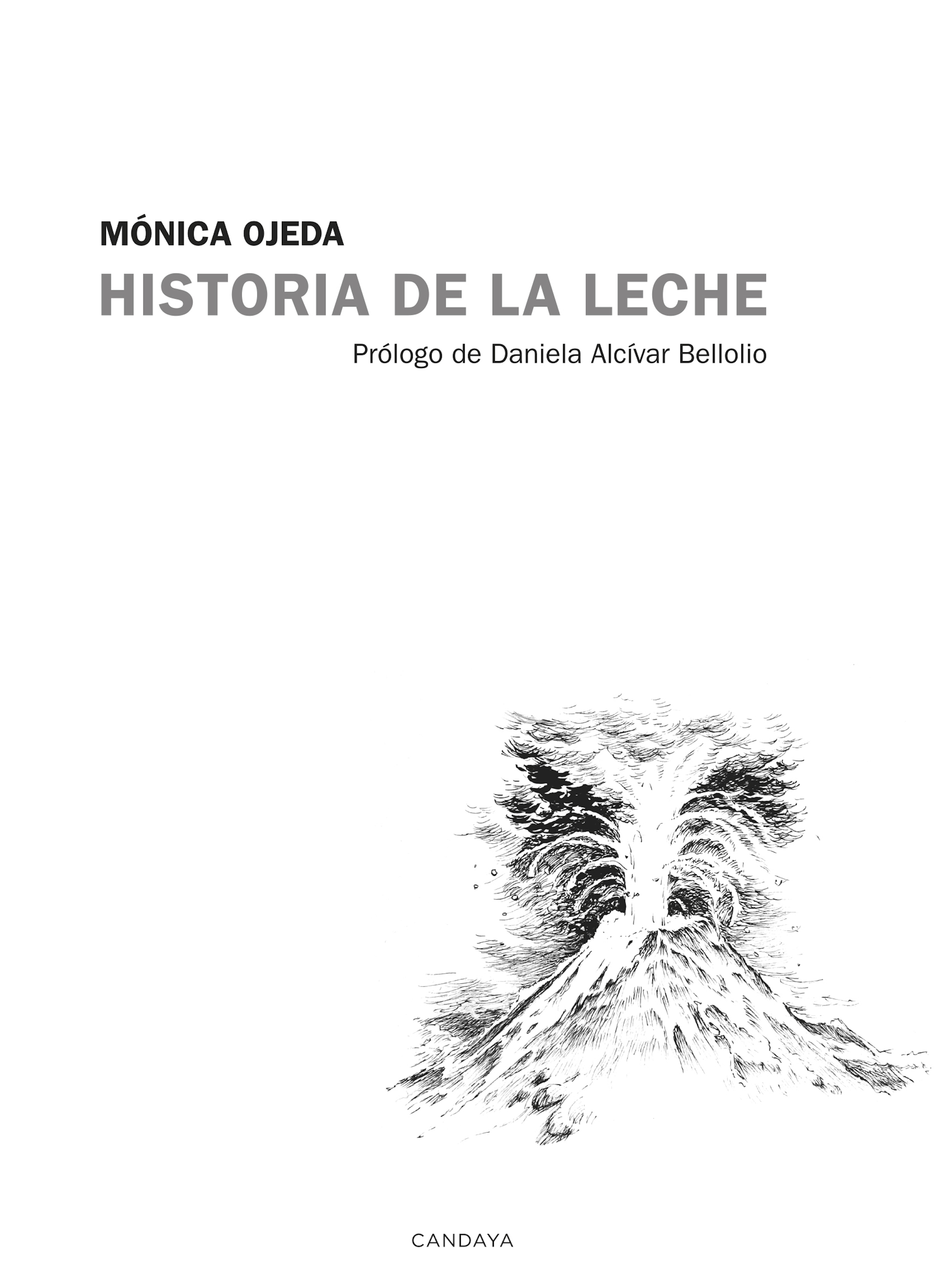 Обложка книги «Historia de la leche»