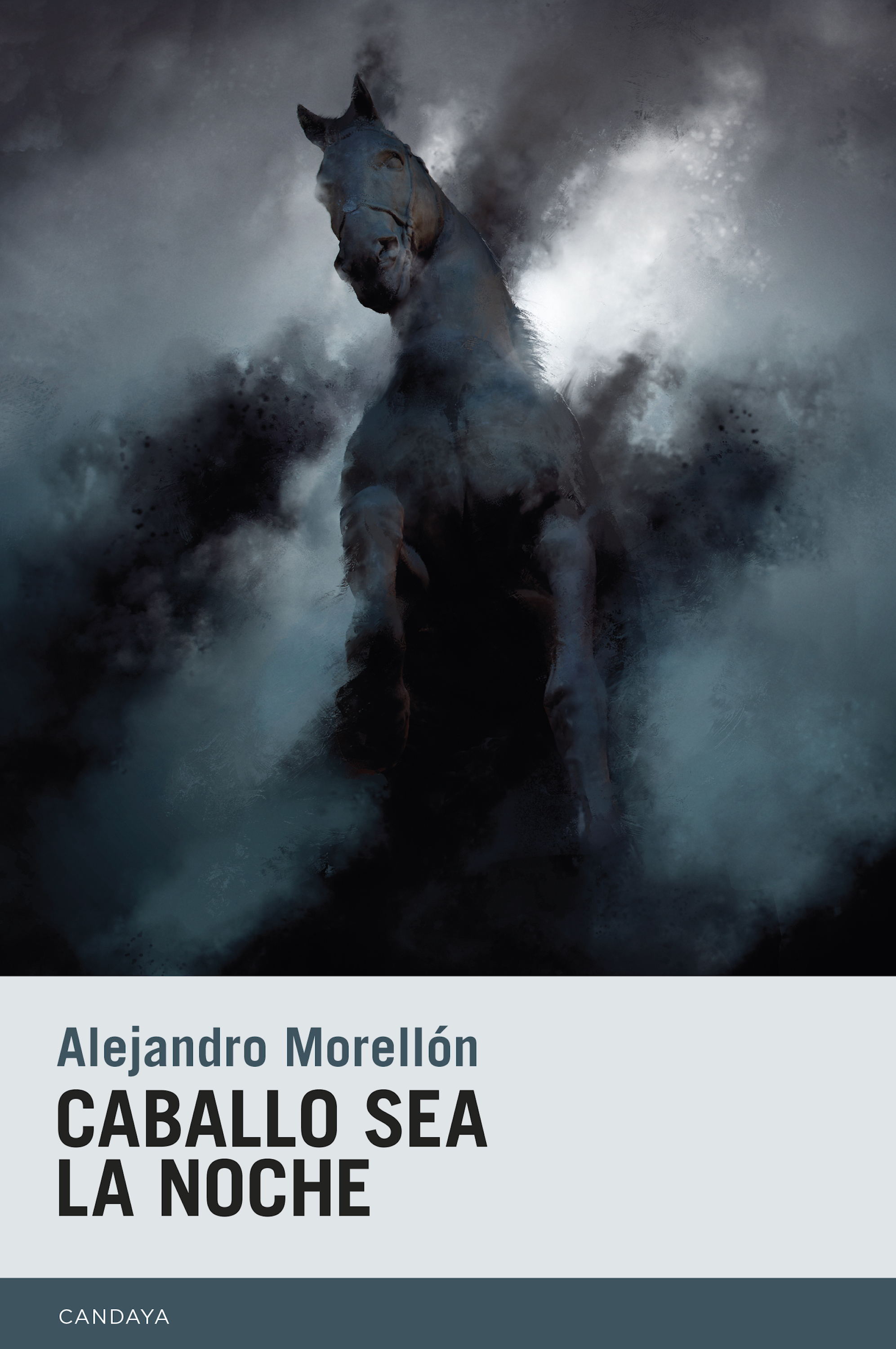 Обложка книги «Caballo sea la noche»