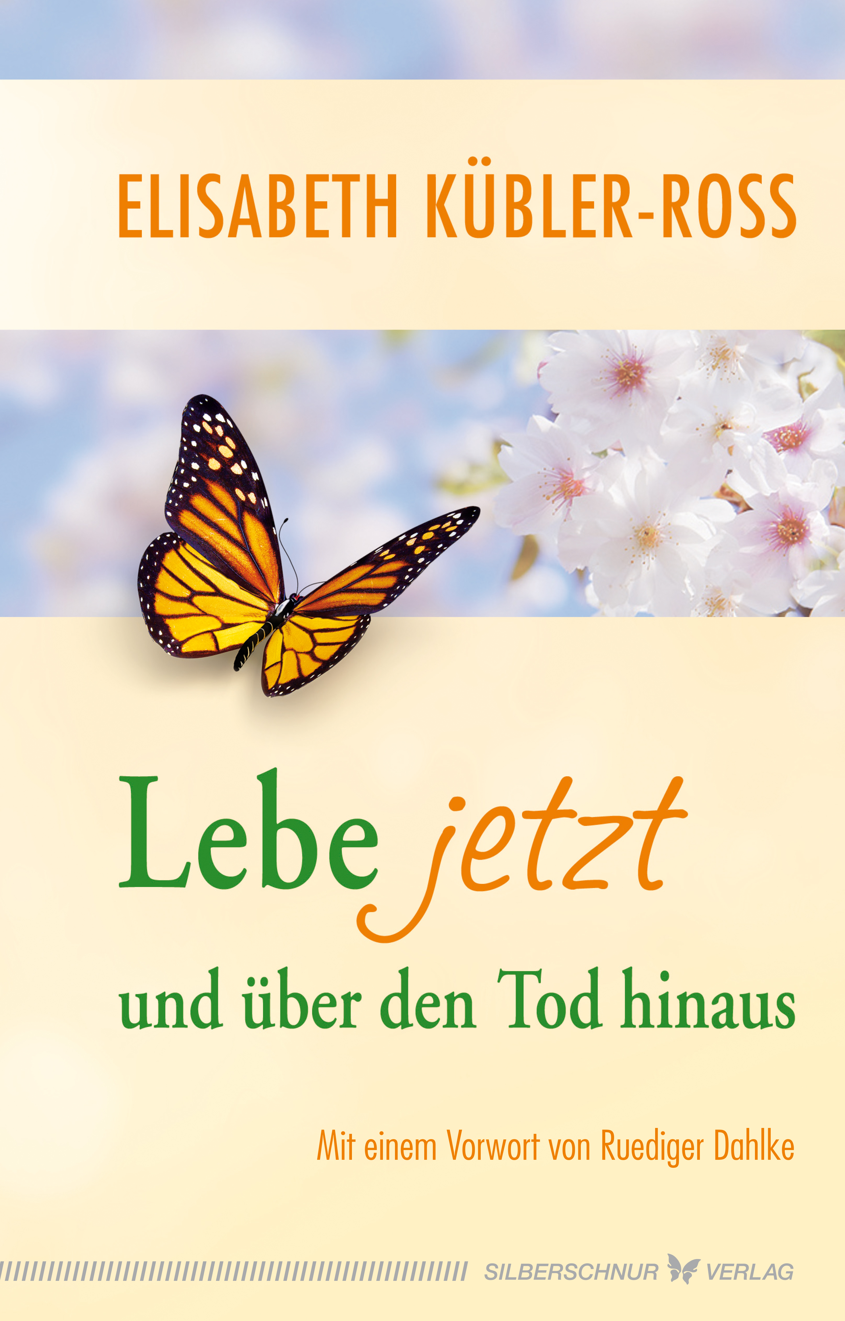Обложка книги «Lebe jetzt und über den Tod hinaus»