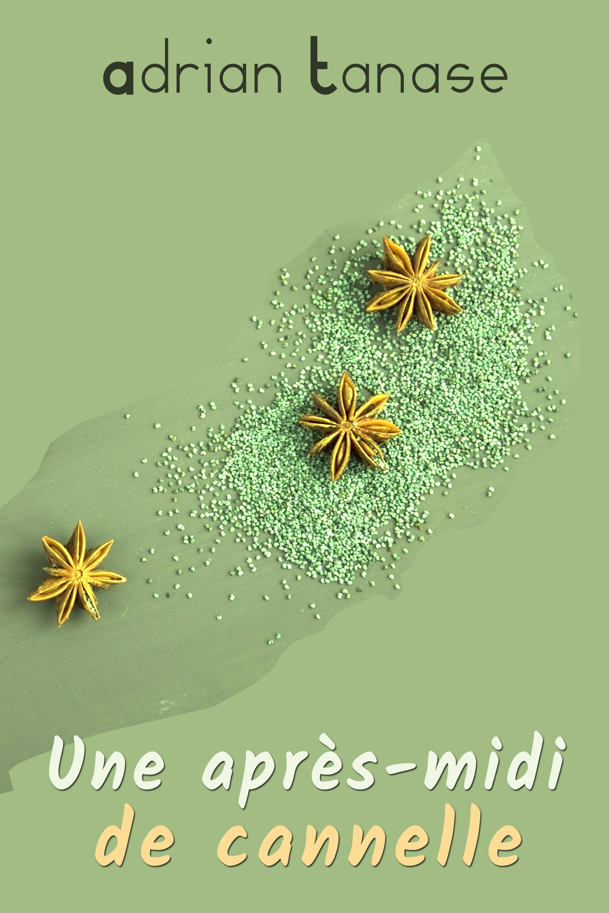Обложка книги «Une Après-Midi de Cannelle»