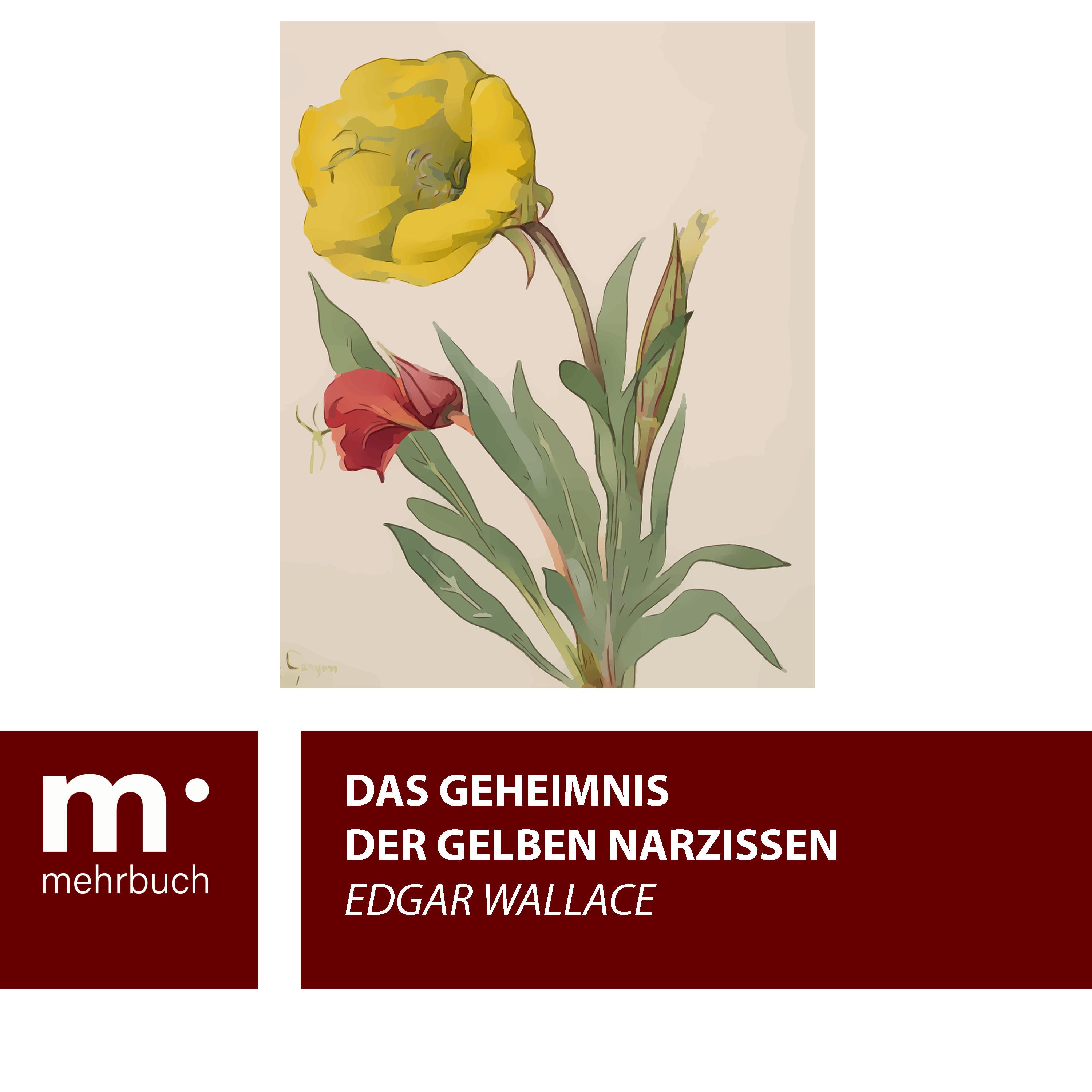Обложка книги «Das Geheimnis der gelben Narzissen»