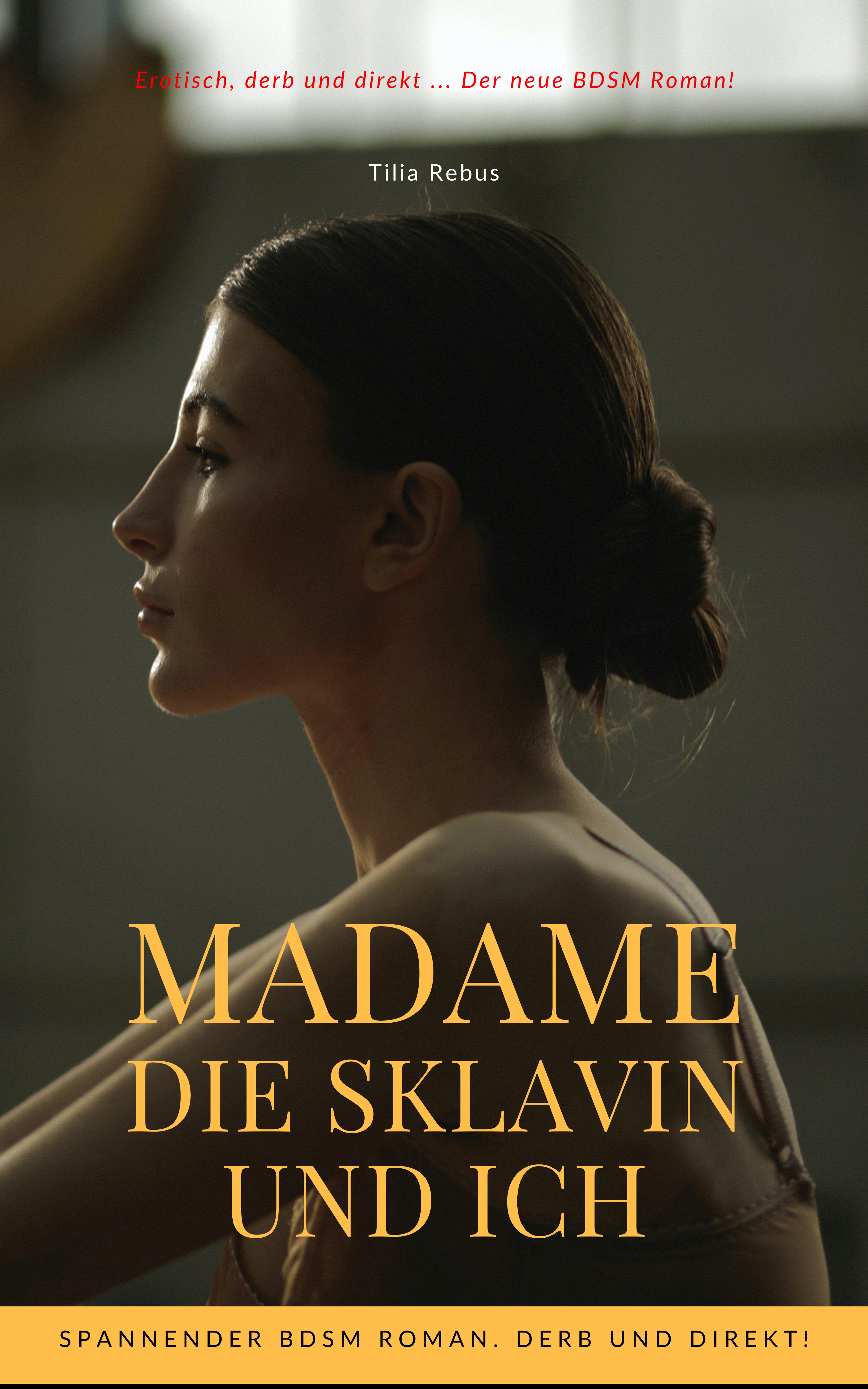 Обложка книги «Madame die Sklavin und ich»