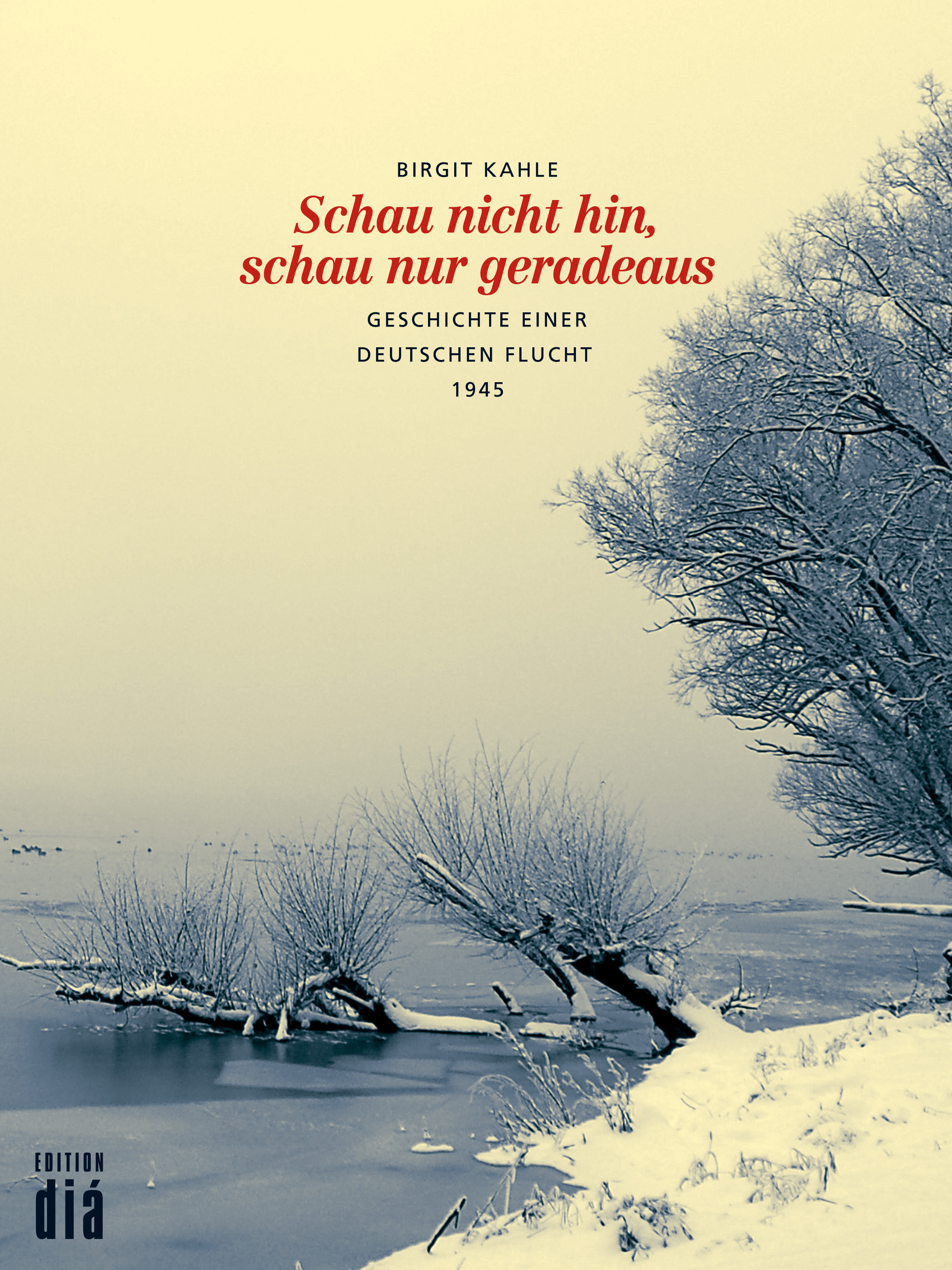 Обложка книги «Schau nicht hin, schau nur geradeaus»