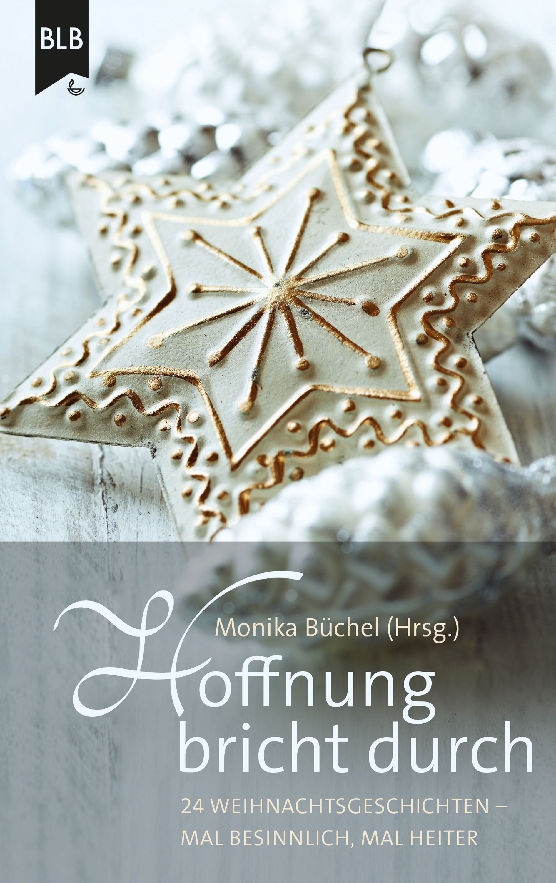 Обложка книги «Hoffnung bricht durch»