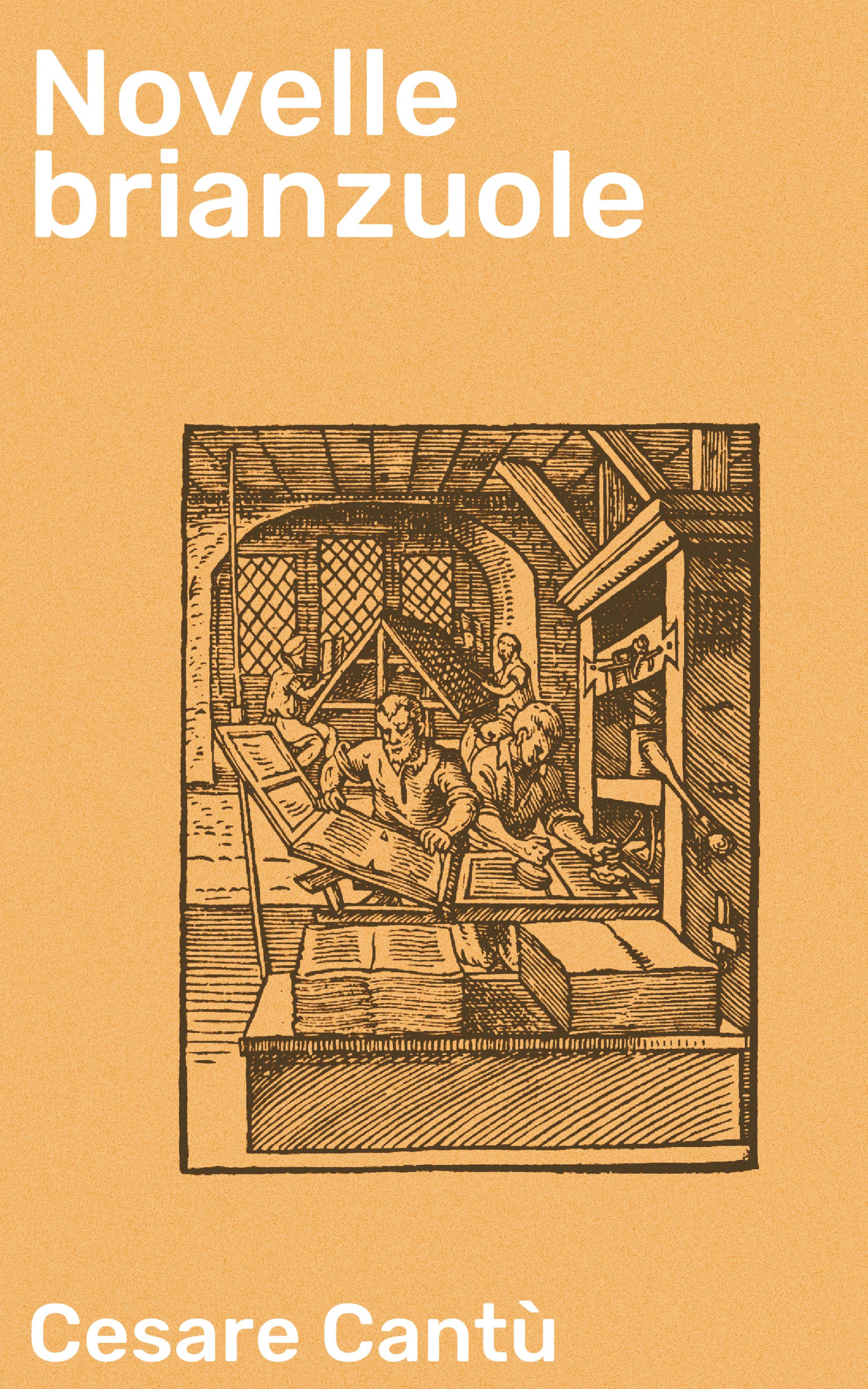 Обложка книги «Novelle brianzuole»