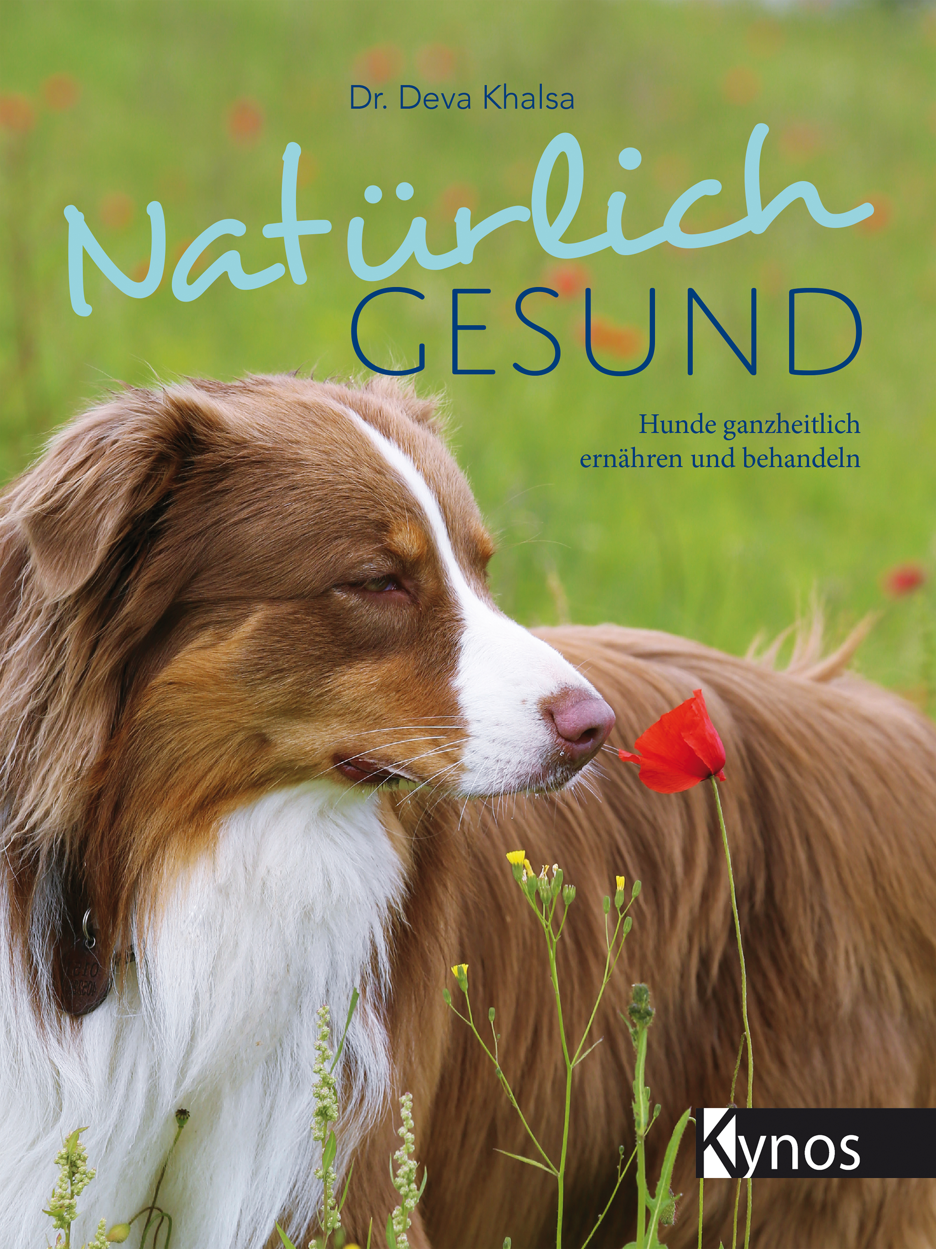 Обложка книги «Natürlich gesund»