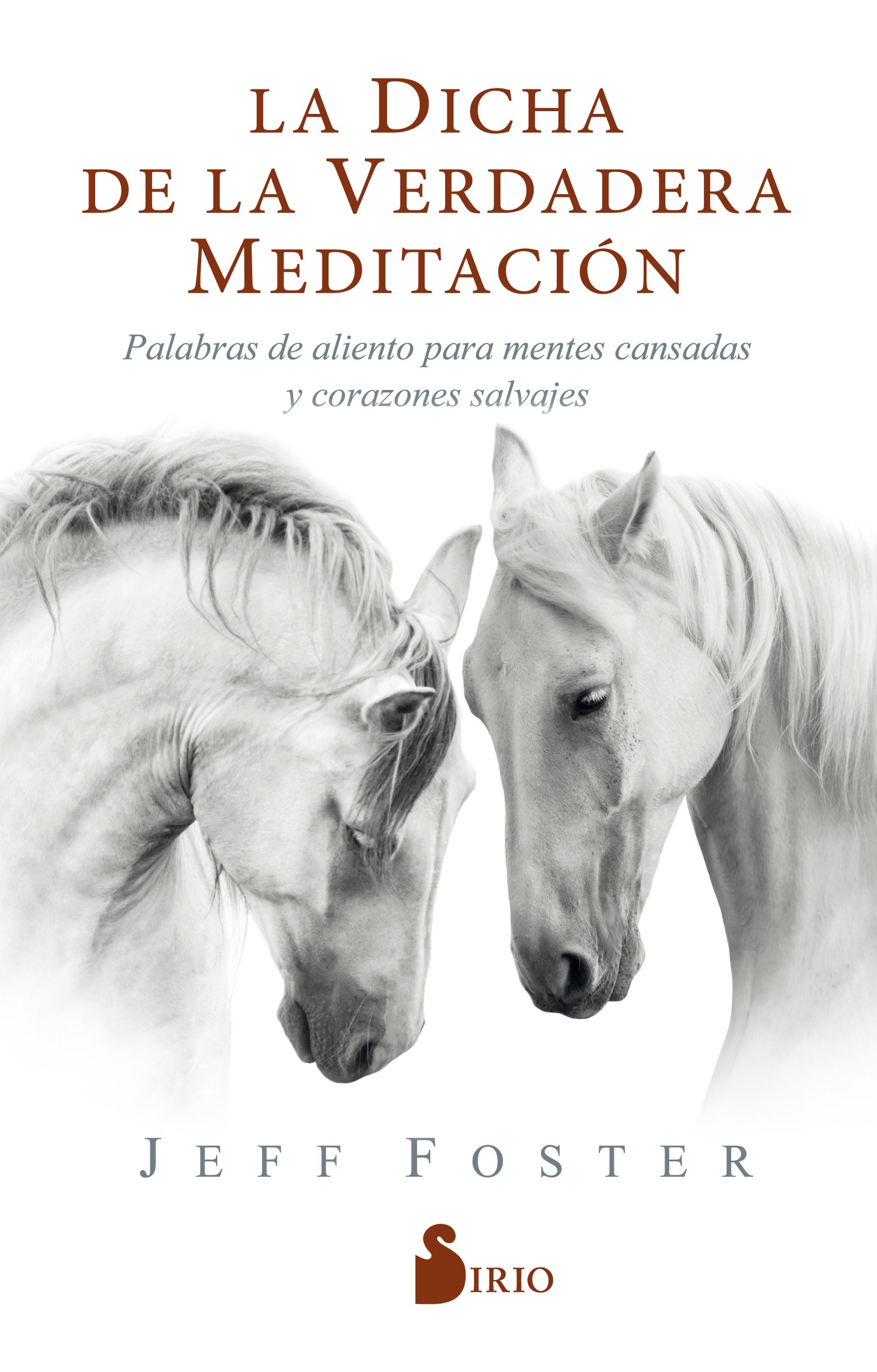 Обложка книги «La dicha de la verdadera meditación»