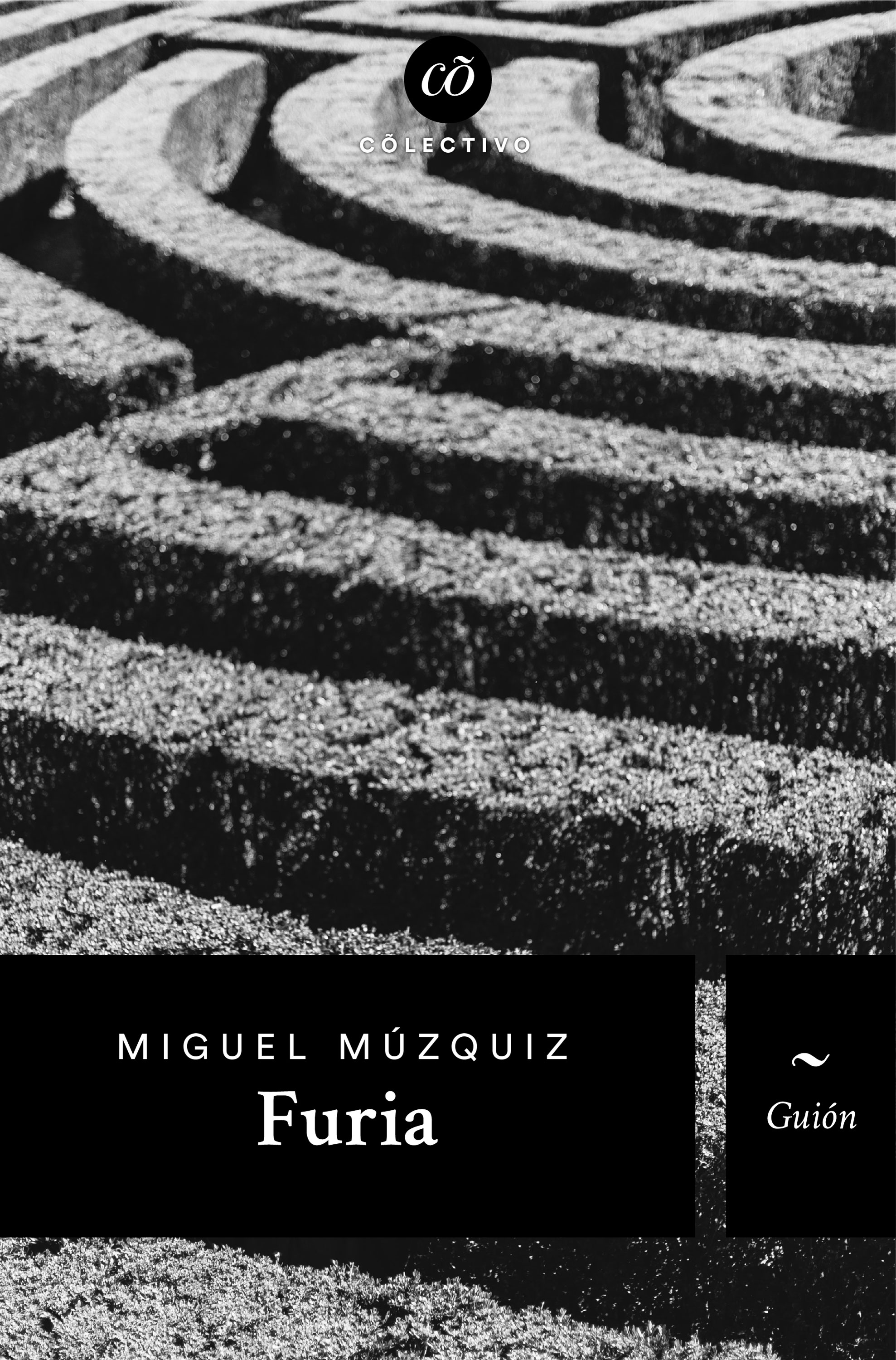 Обложка книги «Furia»