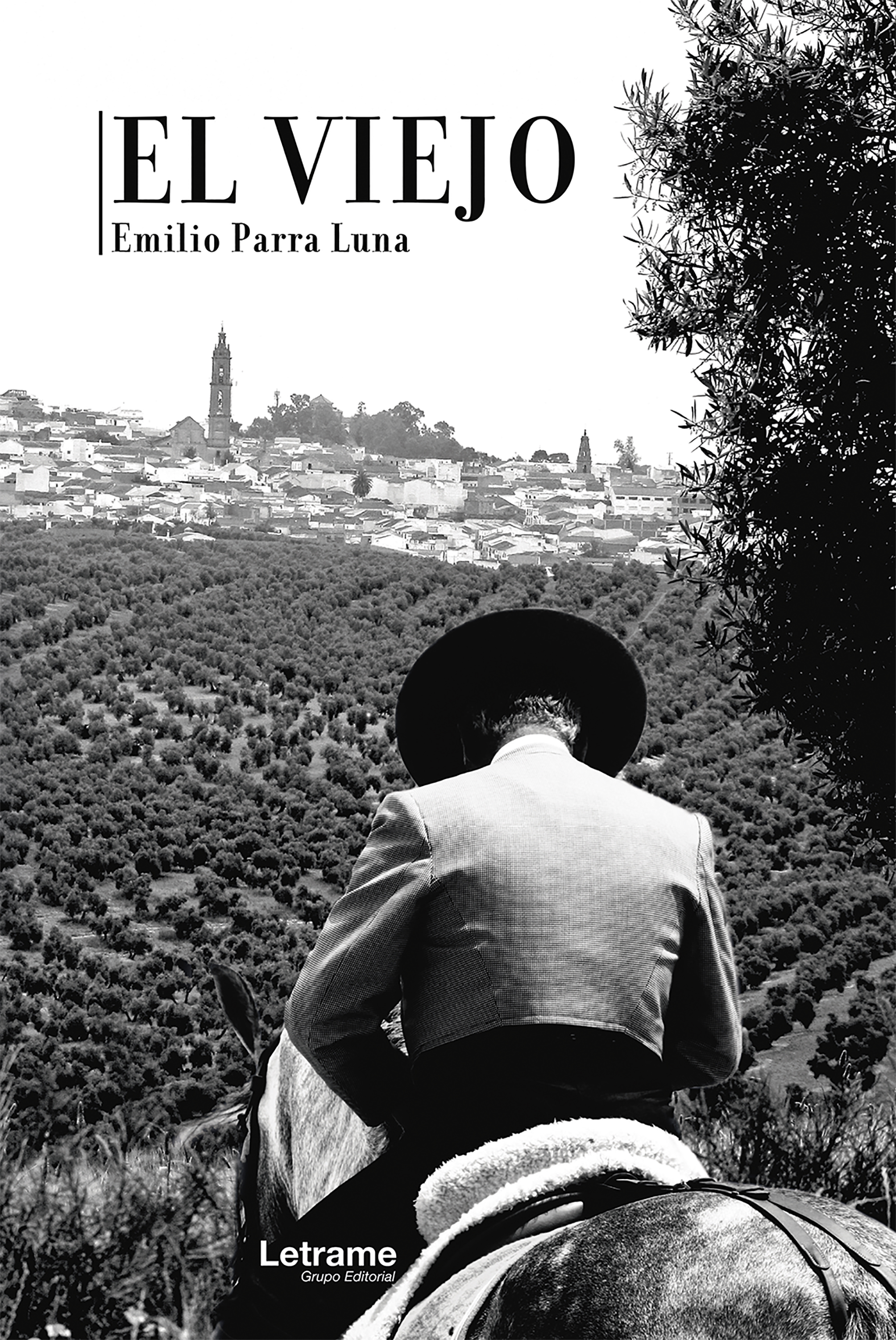 Обложка книги «El viejo»