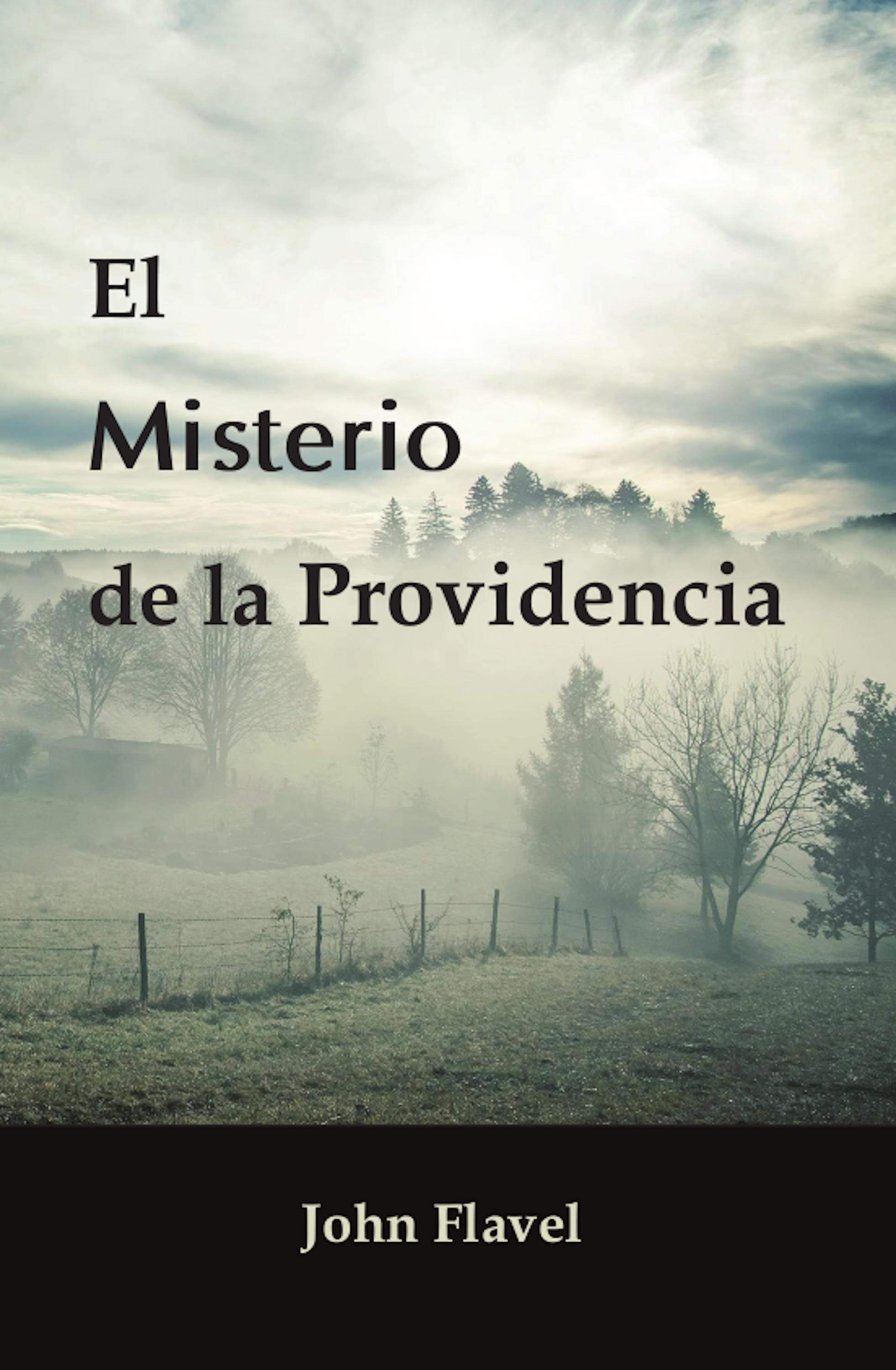 Обложка книги «El misterio de la Providencia»