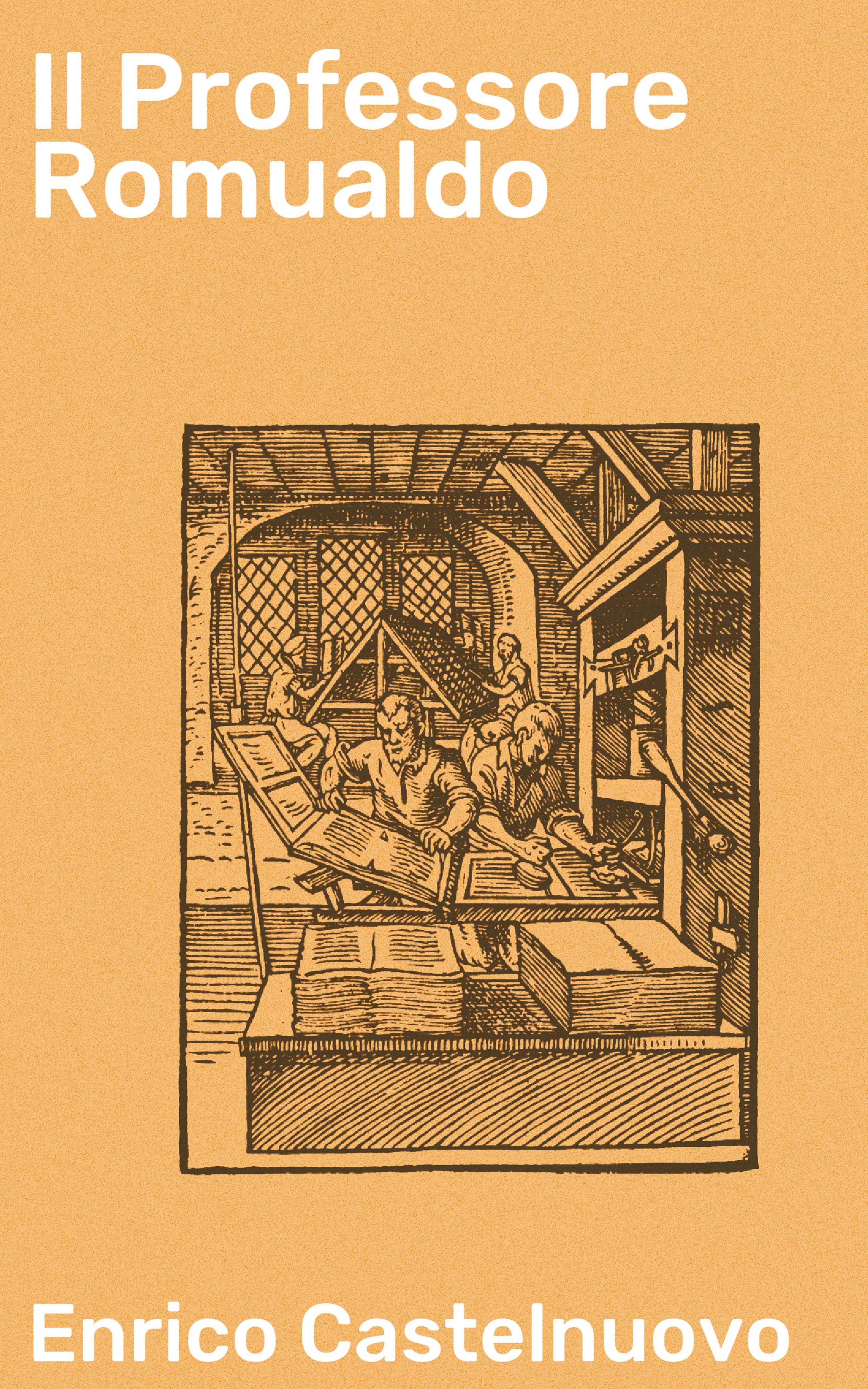 Обложка книги «Il Professore Romualdo»