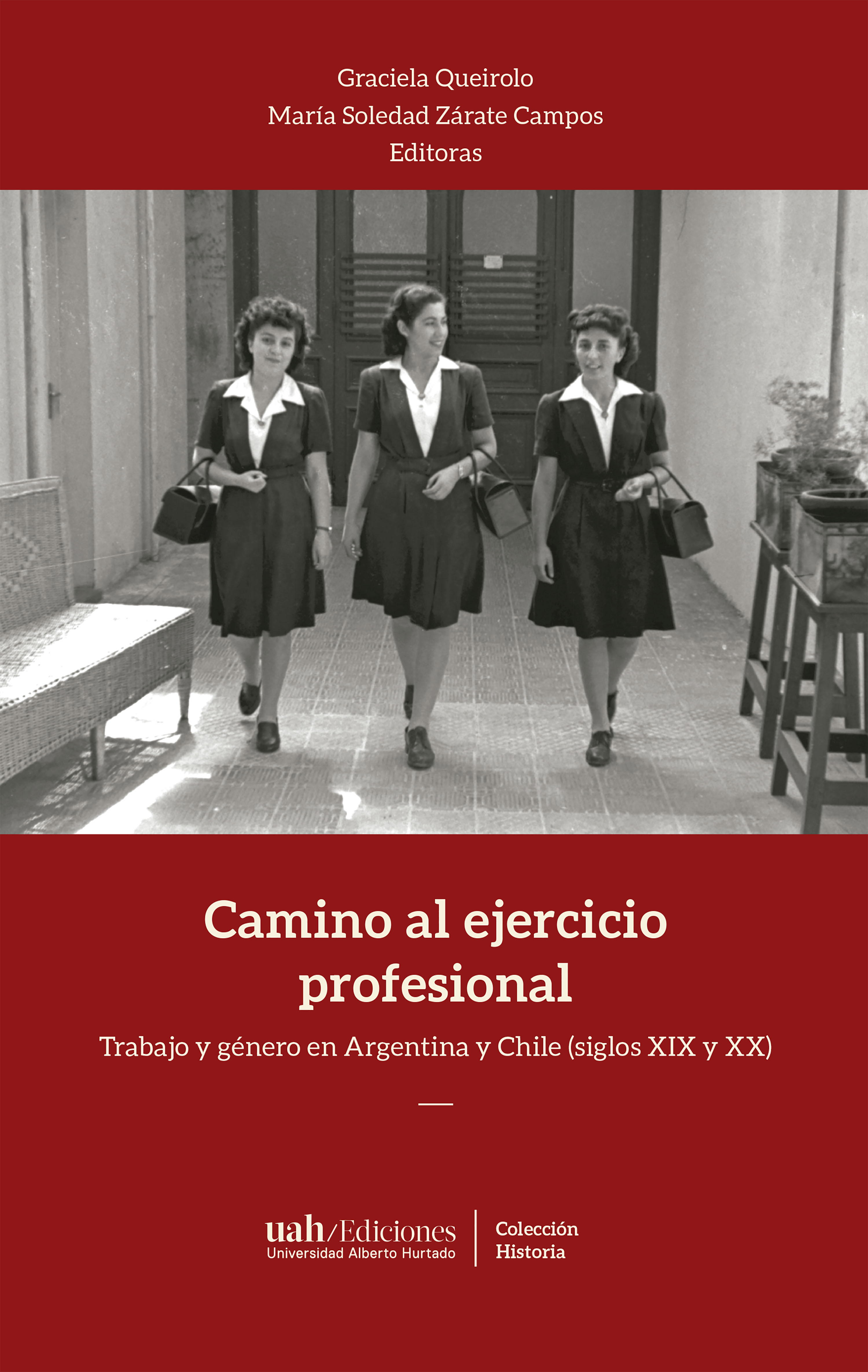 Обложка книги «Camino al ejercicio profesional»