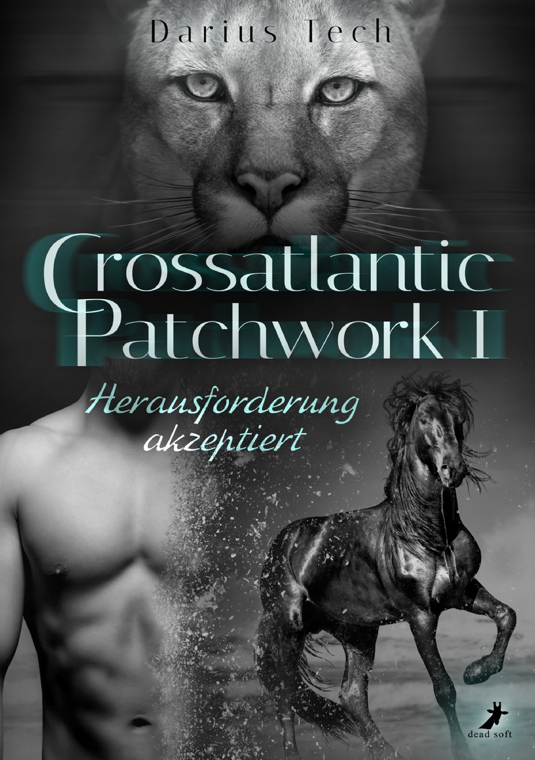 Обложка книги «Crossatlantic Patchwork 1»