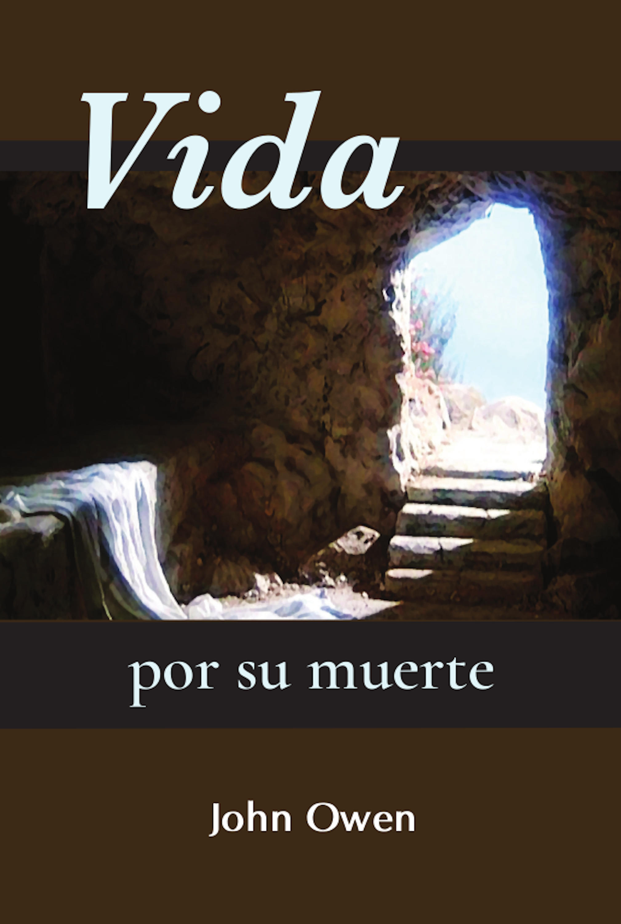 Обложка книги «Vida por su muerte»