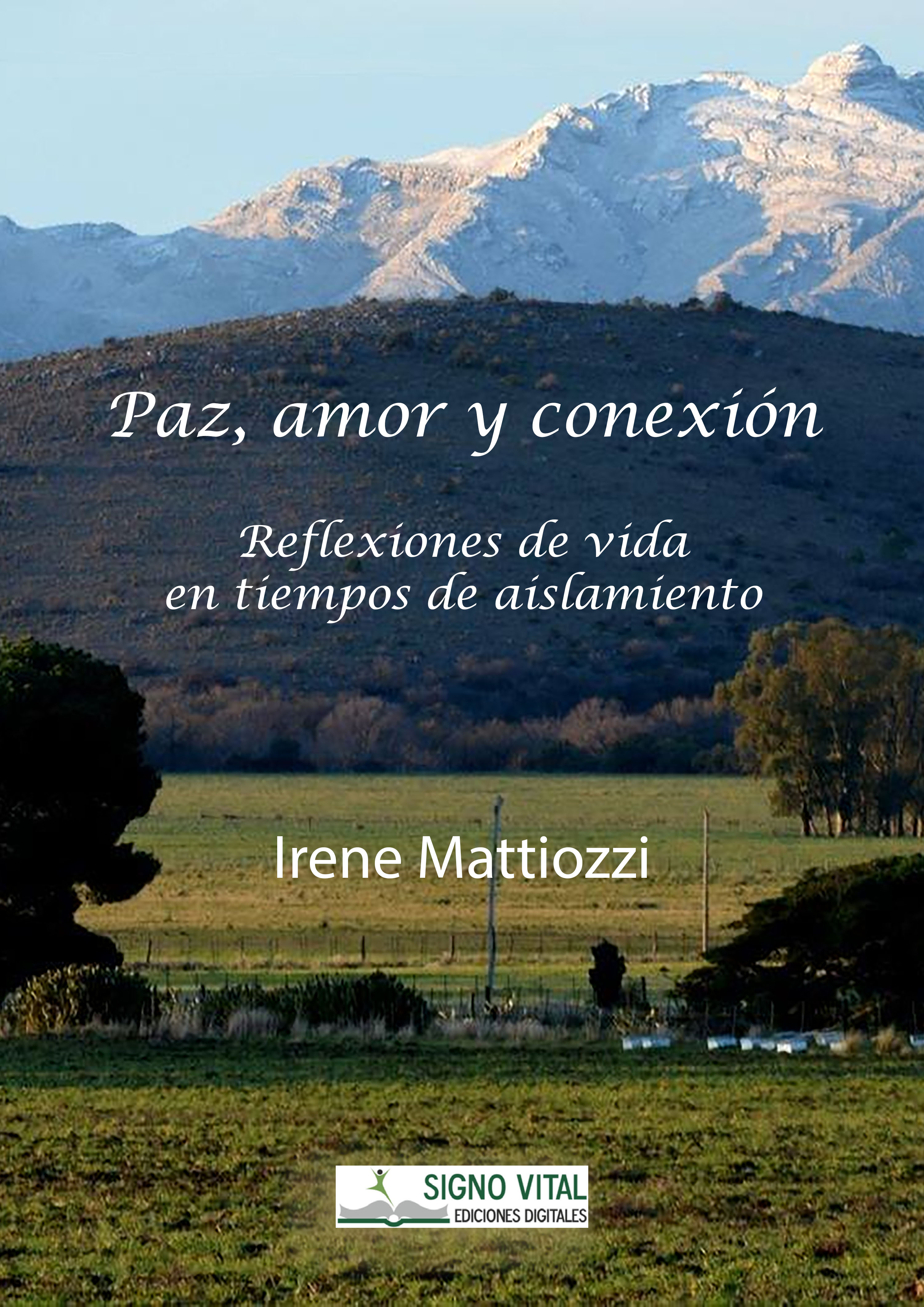 Обложка книги «Paz amor y conexión»