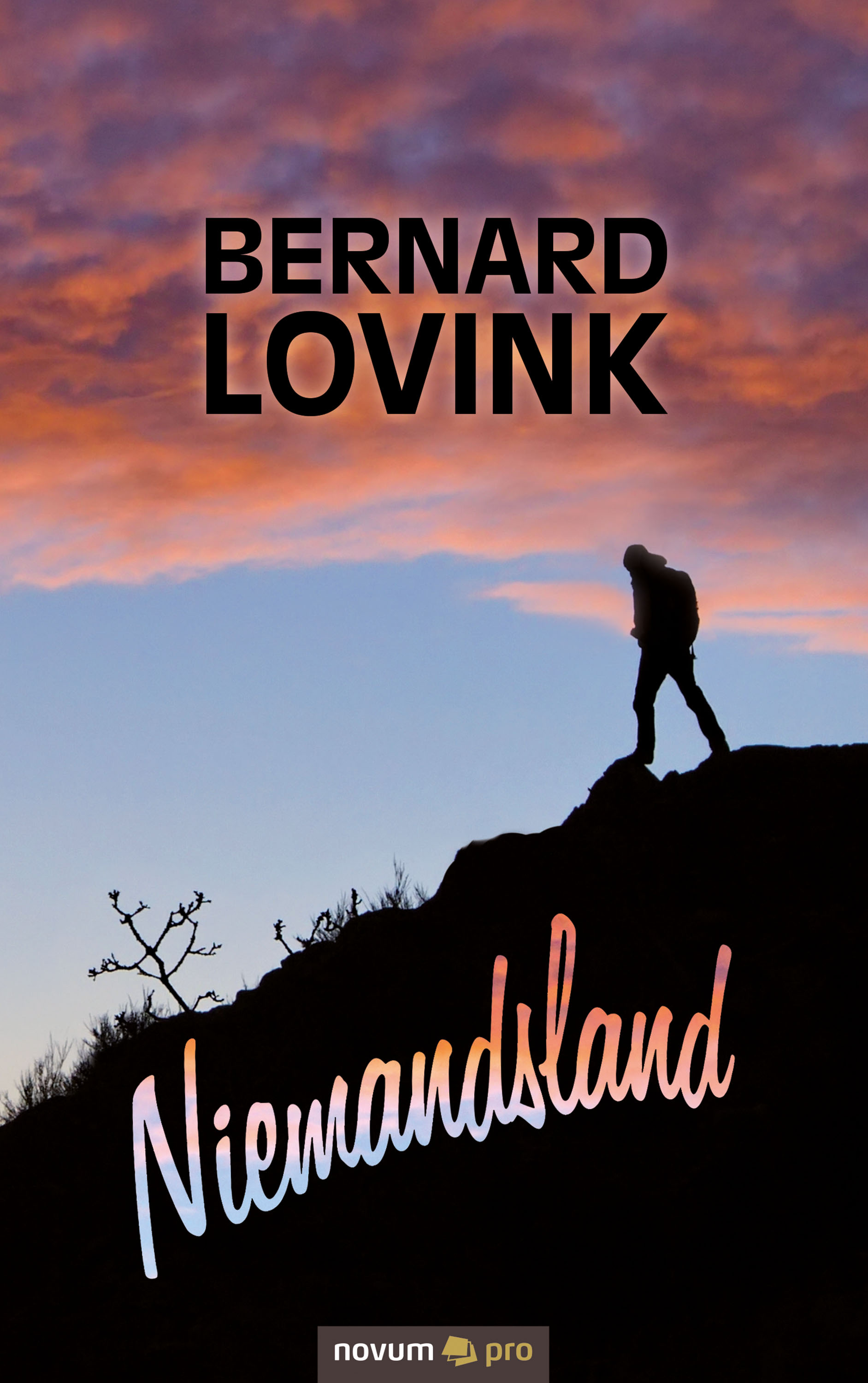 Обложка книги «Niemandsland»
