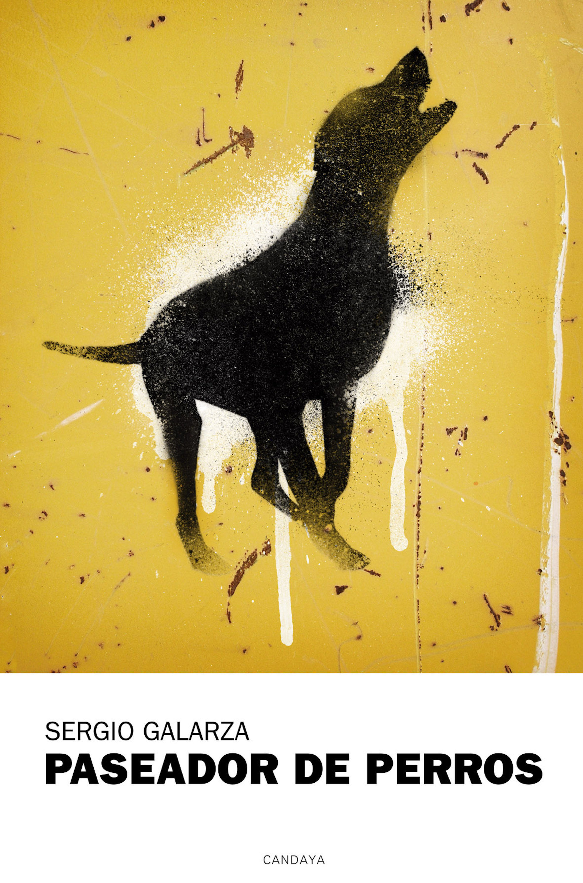 Обложка книги «Paseador de perros»