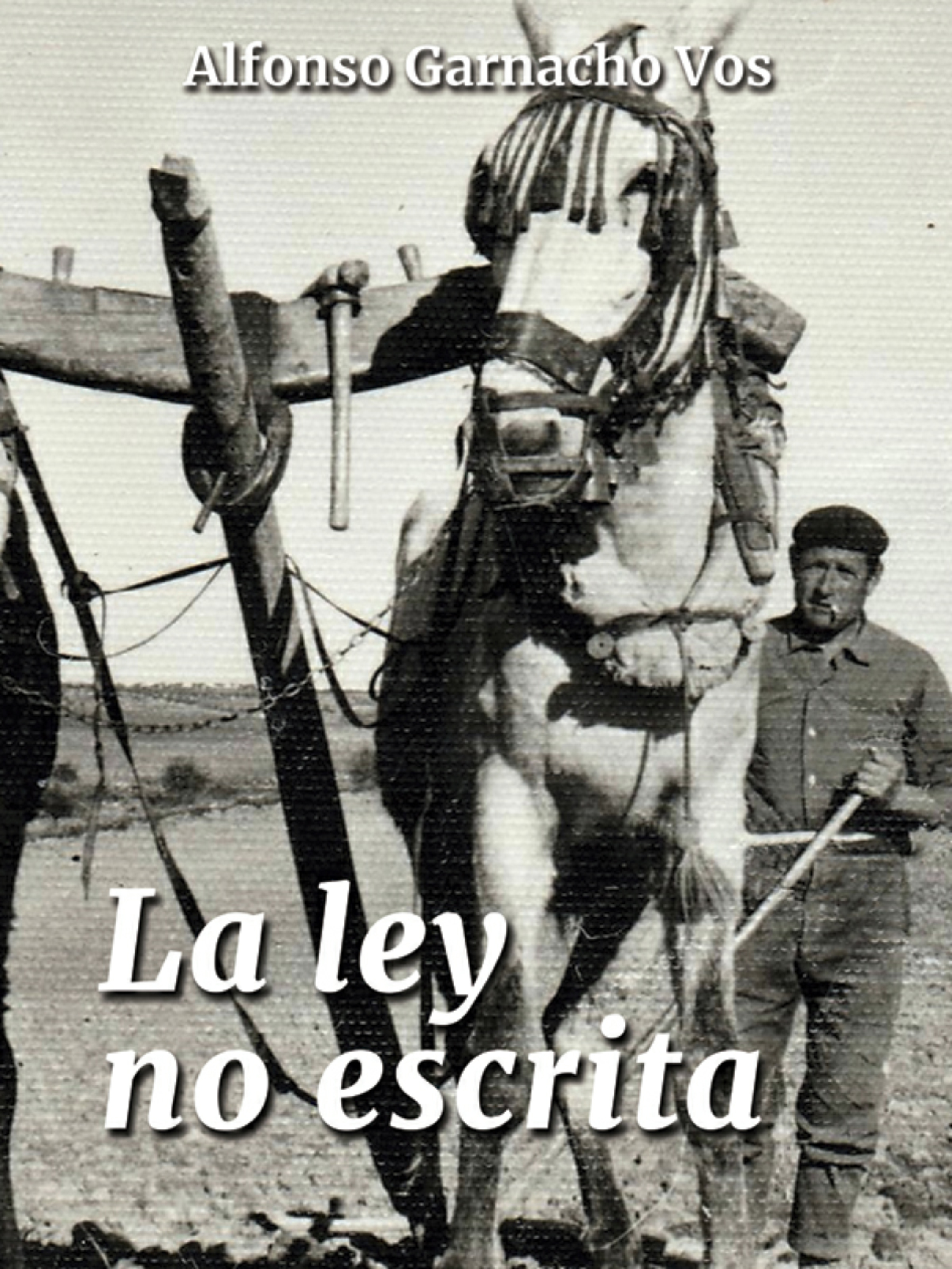 Обложка книги «La ley no escrita»