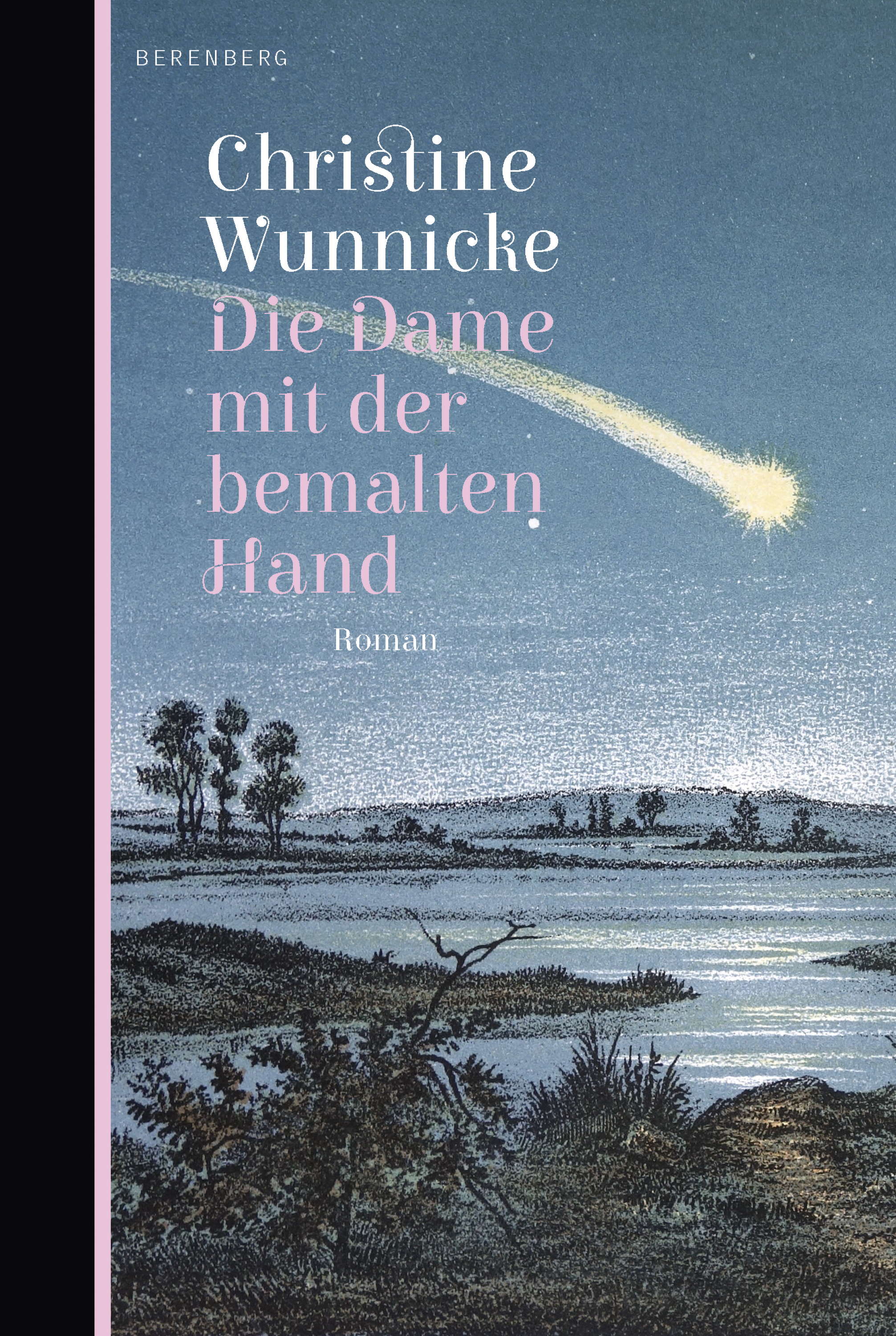Обложка книги «Die Dame mit der bemalten Hand»