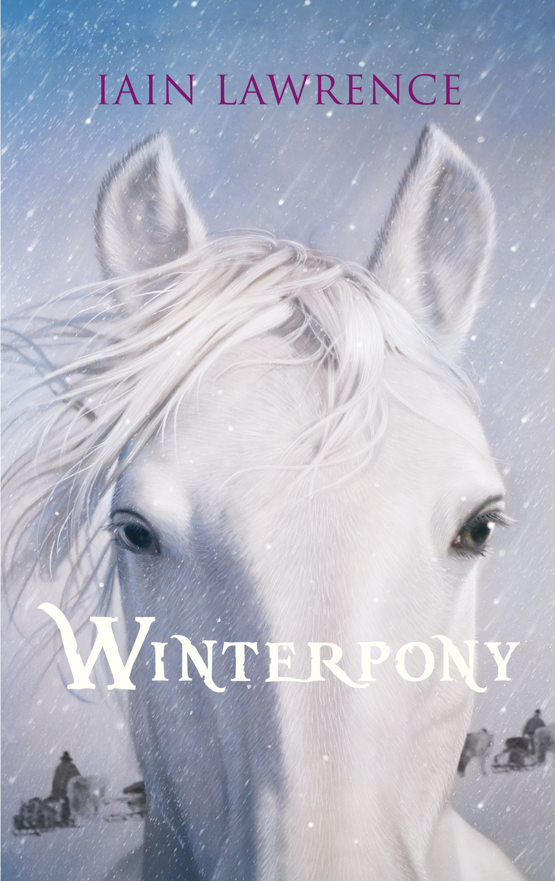 Обложка книги «Winterpony»