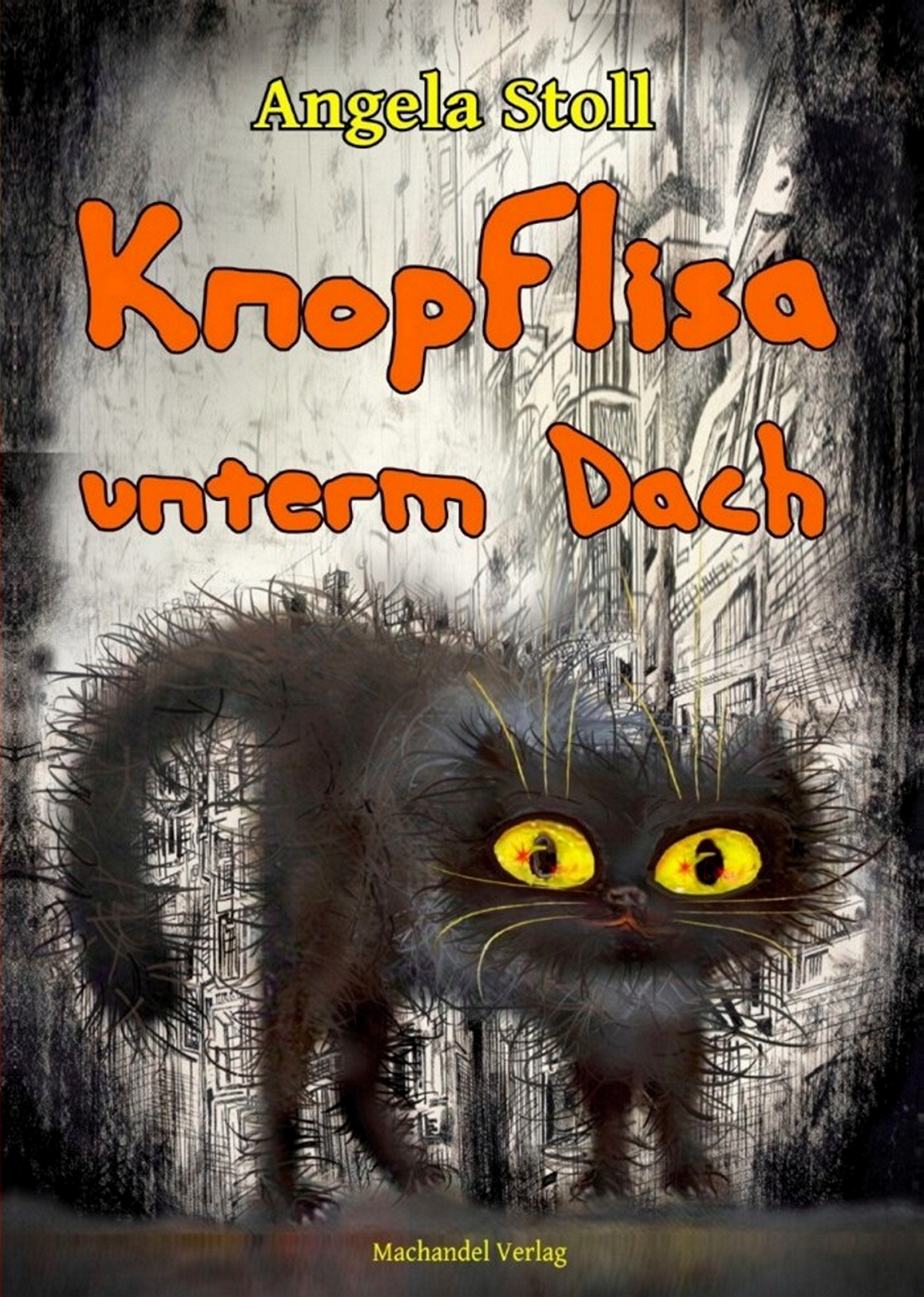 Обложка книги «Knopflisa unterm Dach»