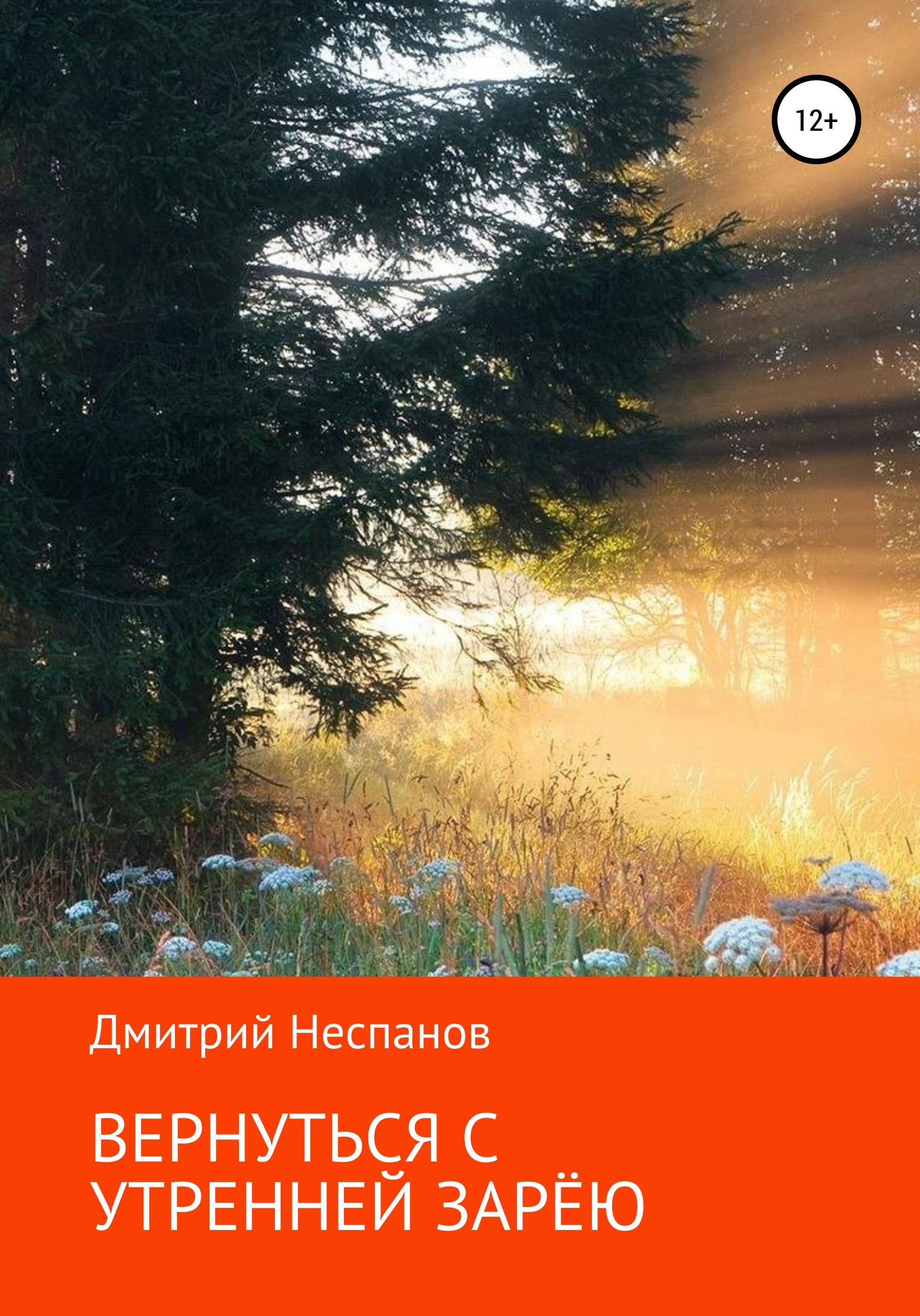 Обложка книги «Вернуться с утренней зарёю»