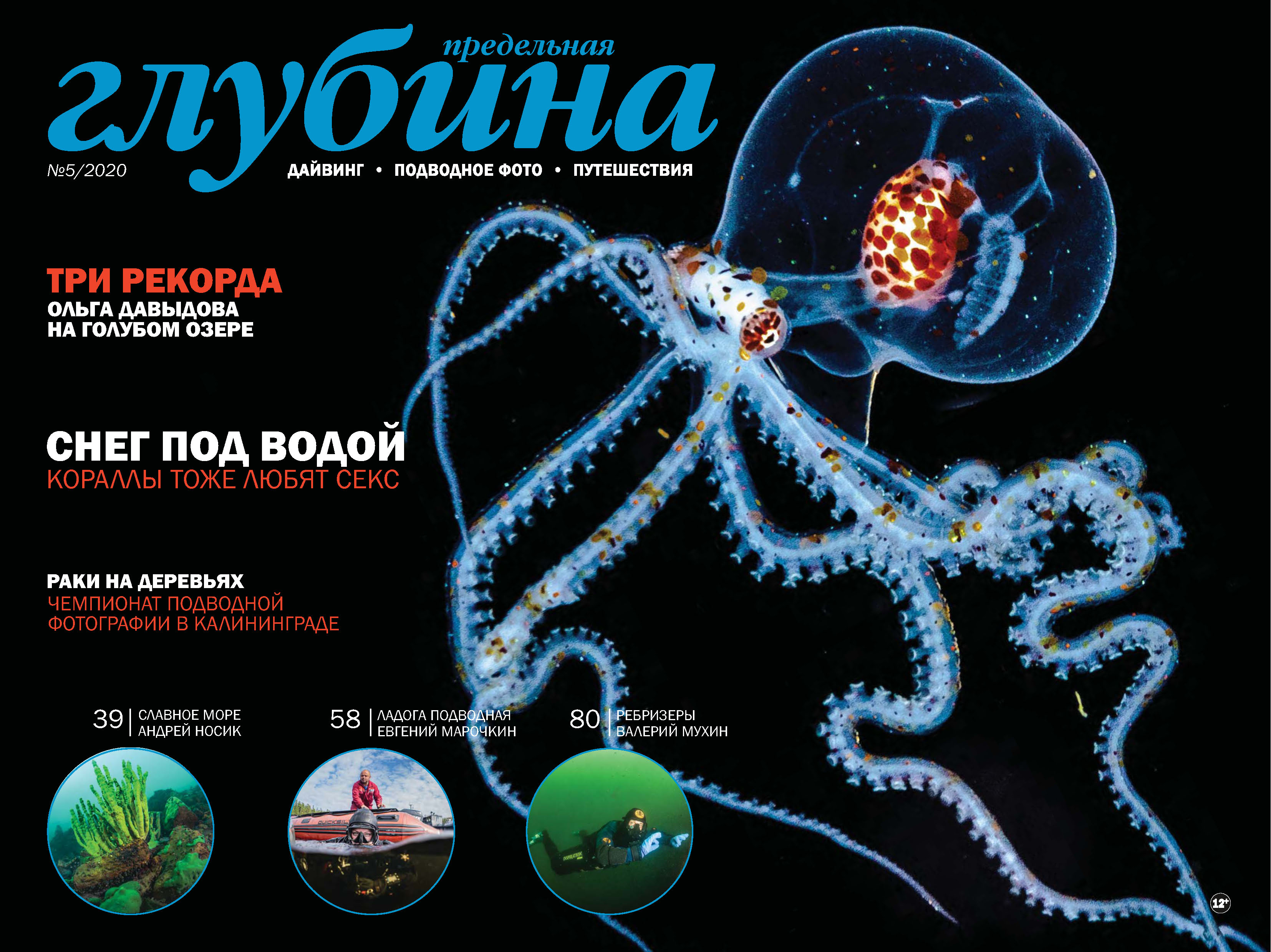 Обложка книги «Предельная Глубина №5/2020»