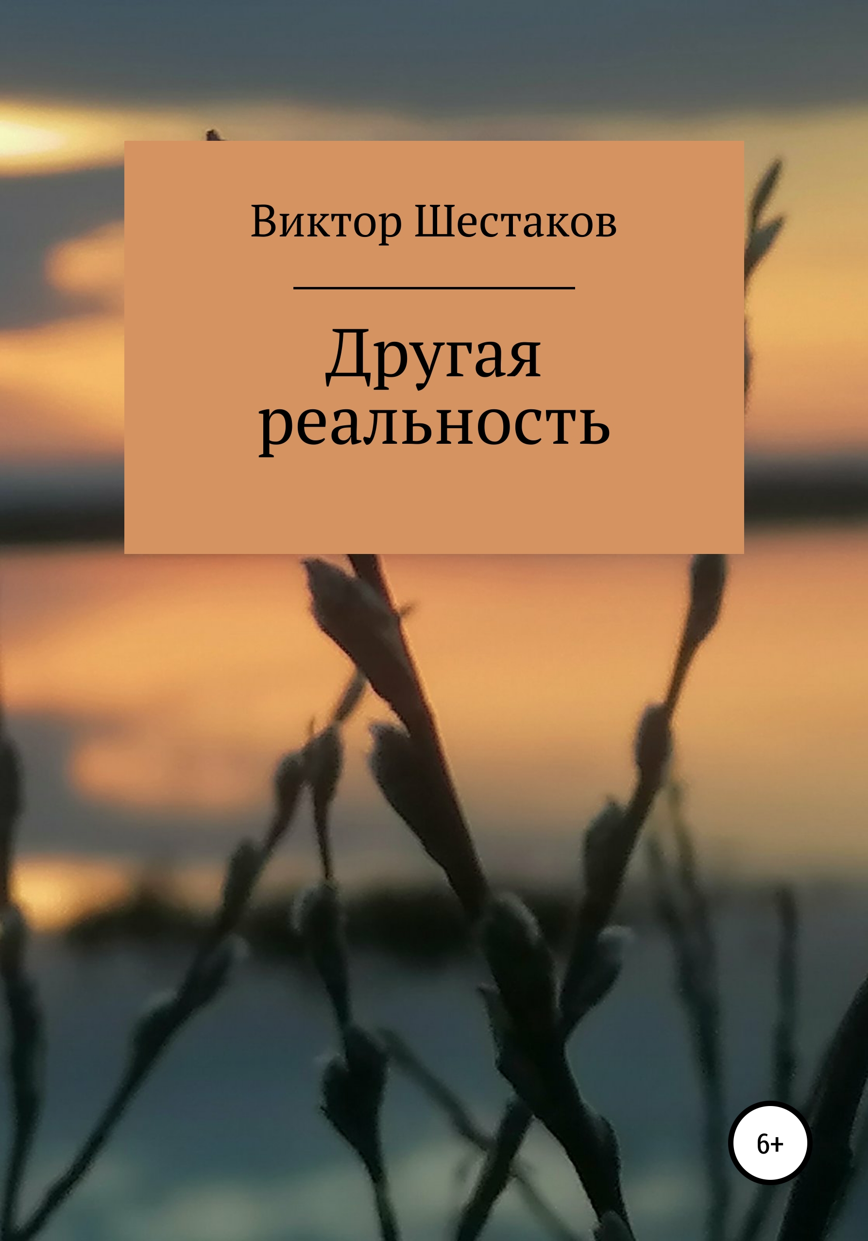 Обложка книги «Другая реальность»