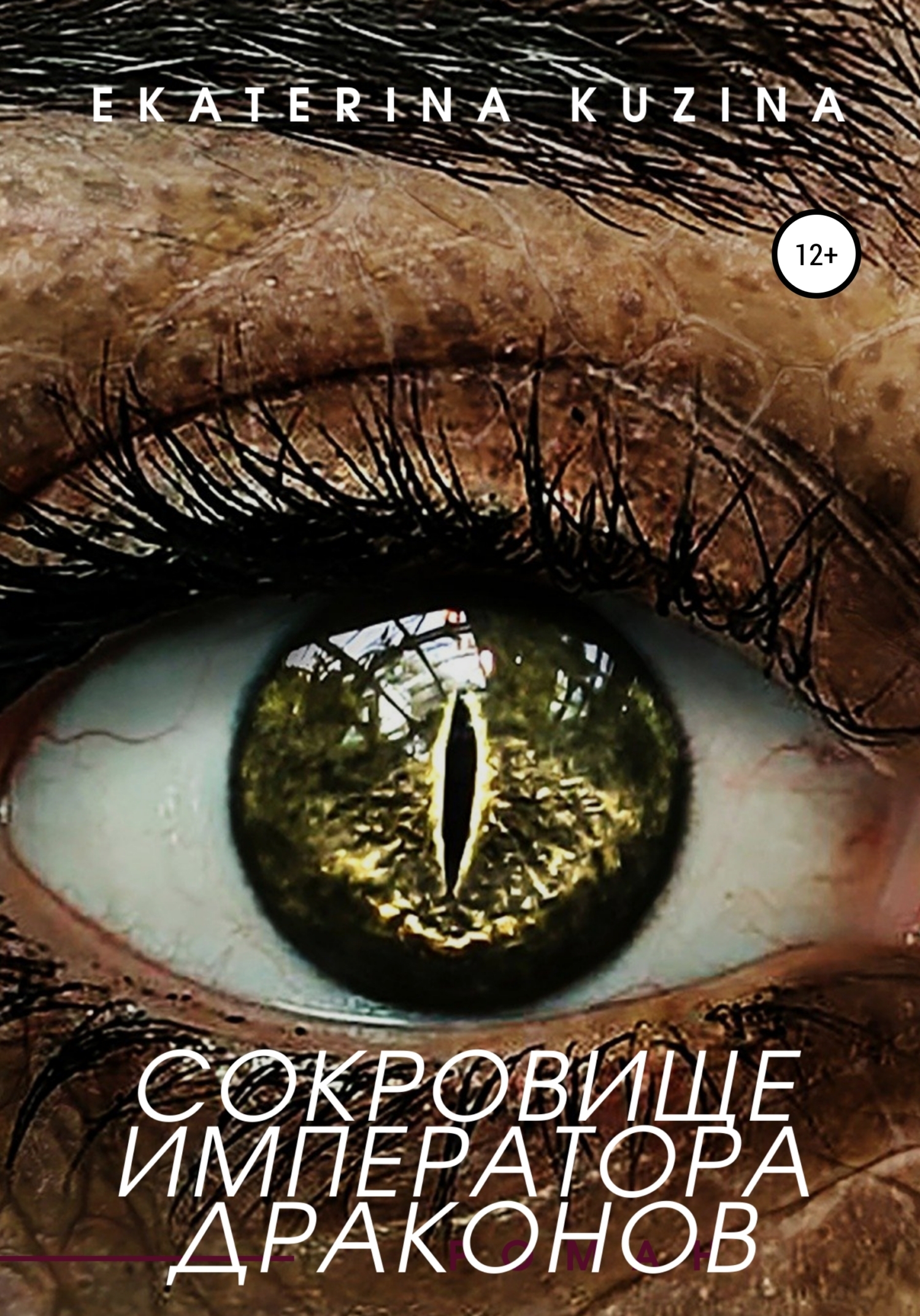 Обложка книги «Сокровище императора драконов»
