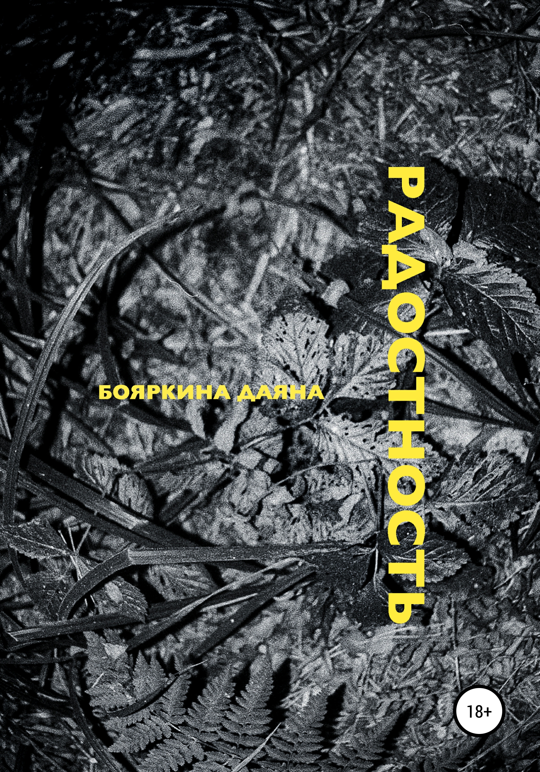Обложка книги «Радостность»