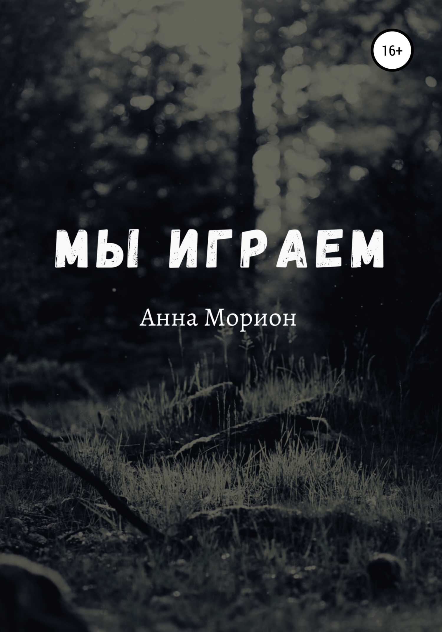 Обложка книги «Мы играем»
