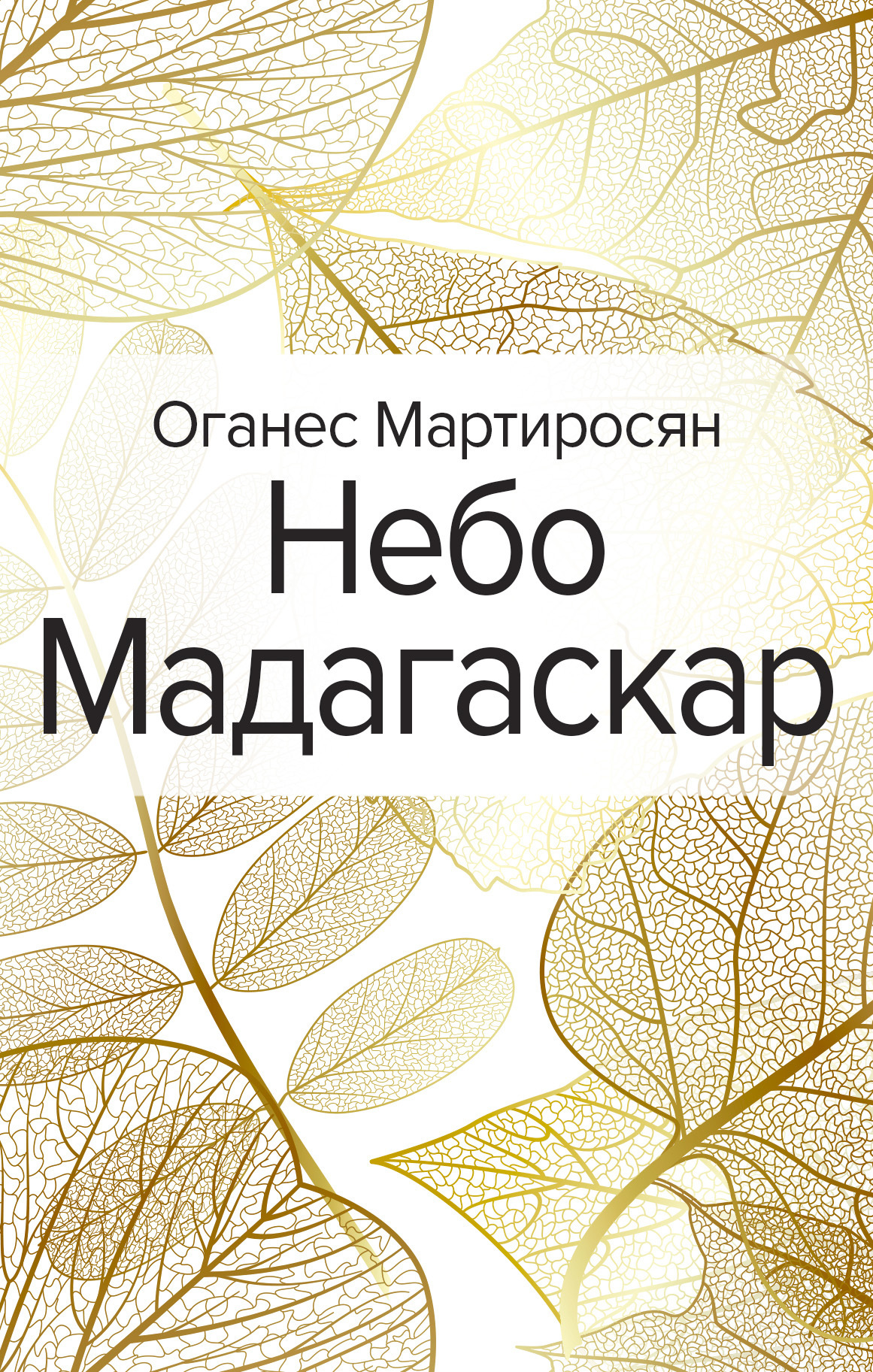 Обложка книги «Небо Мадагаскар»