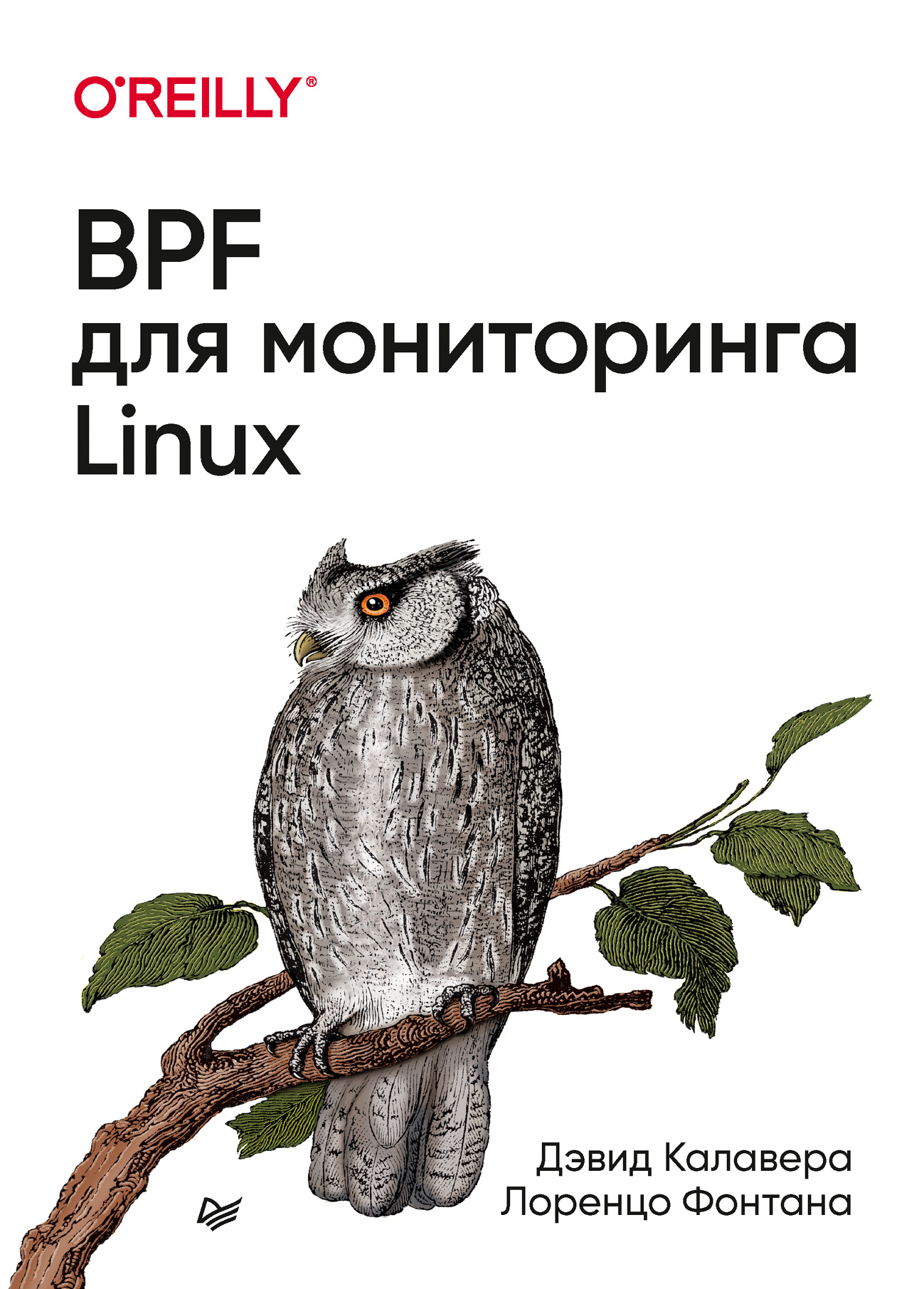 Обложка книги «BPF для мониторинга Linux»