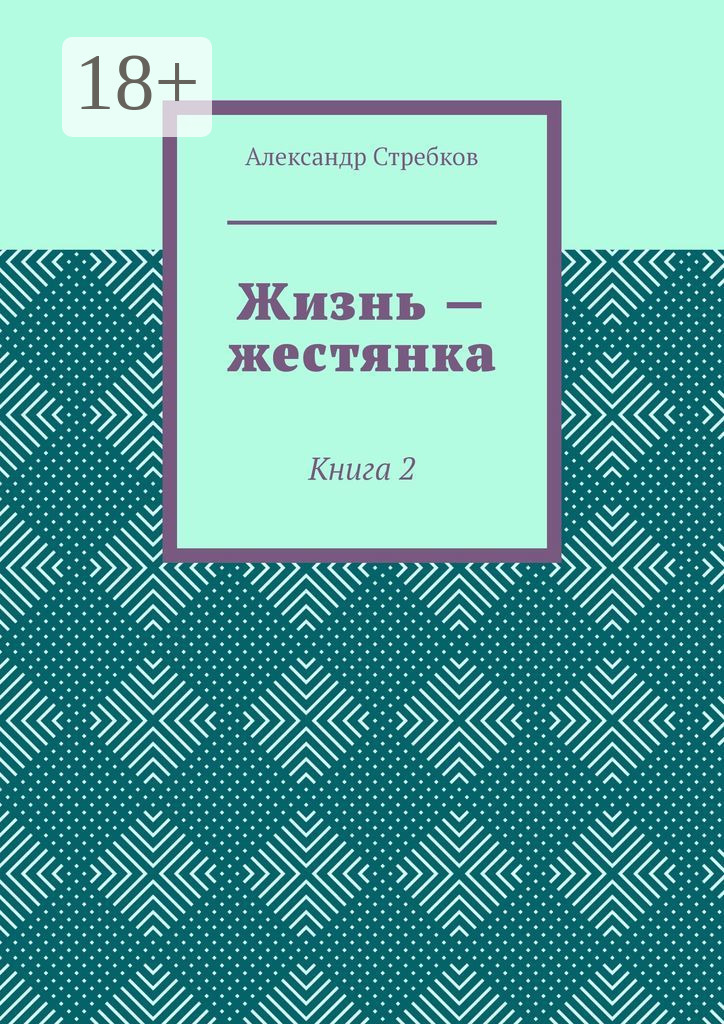 Обложка книги «Жизнь – жестянка. Книга 2»