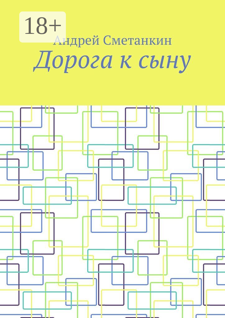 Обложка книги «Дорога к сыну»