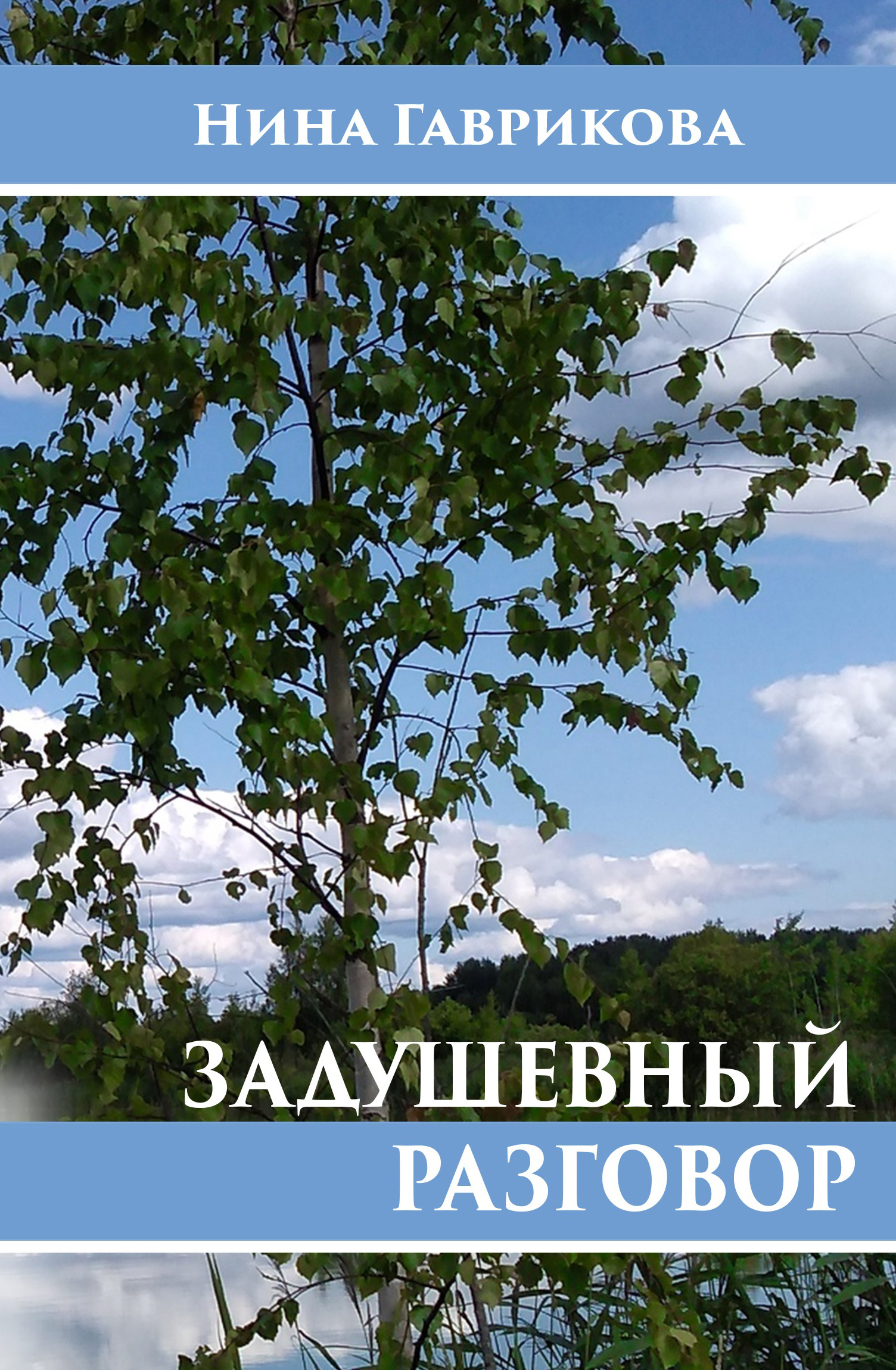 Обложка книги «Задушевный разговор»