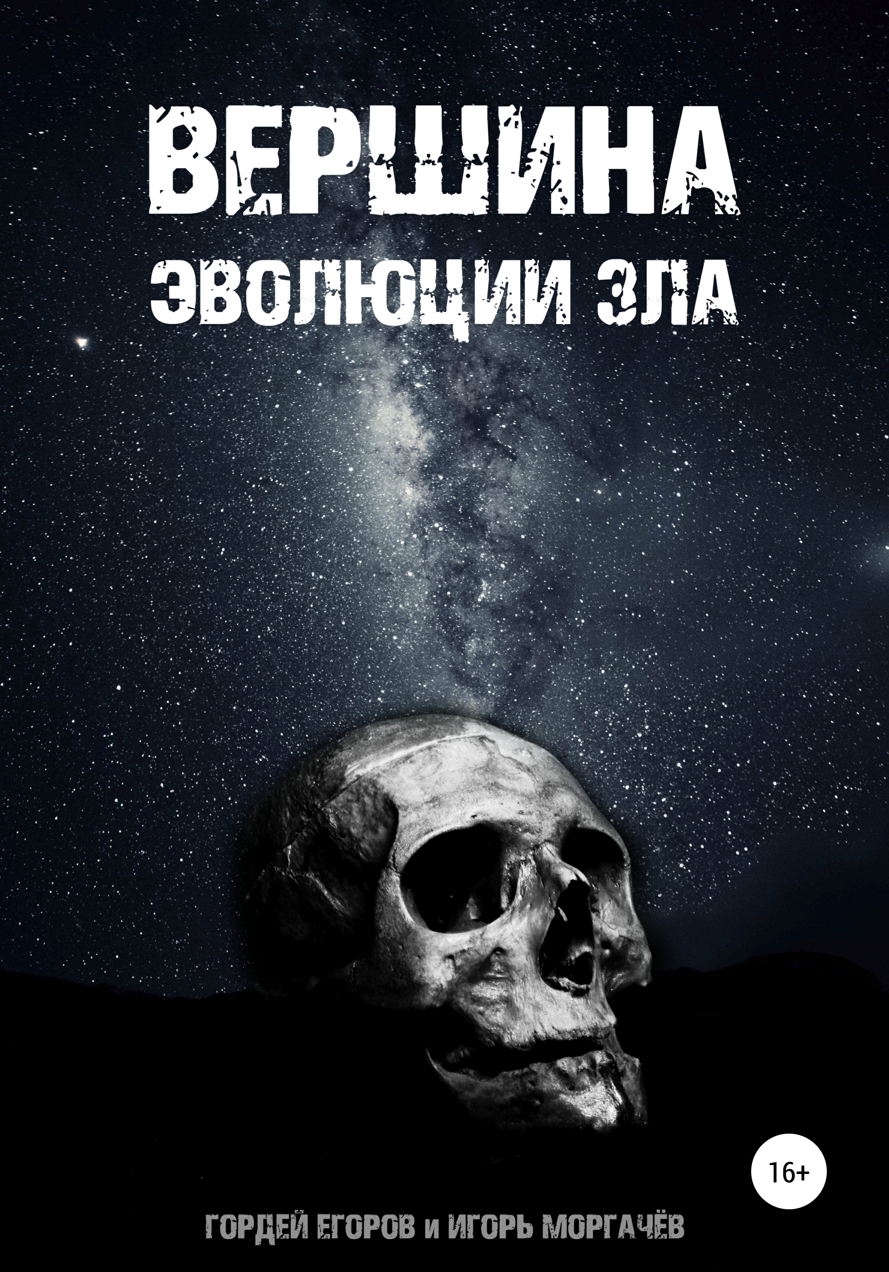 Обложка книги «Вершина эволюции зла»