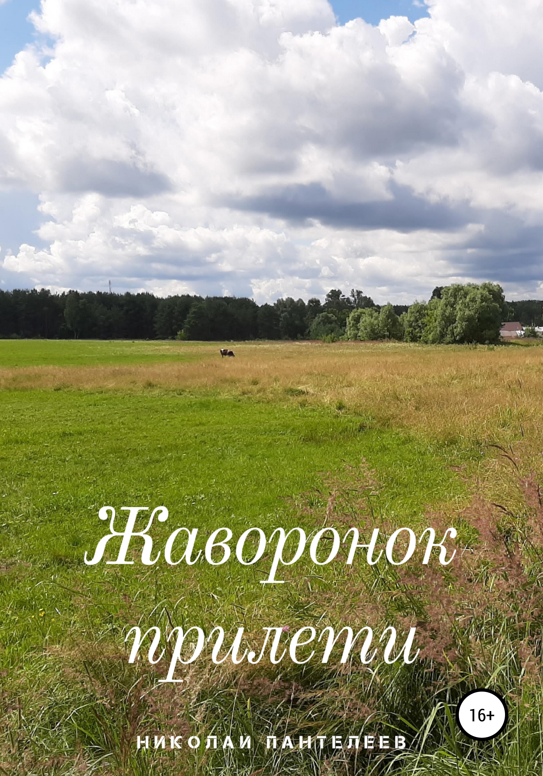 Обложка книги «Жаворонок прилети»