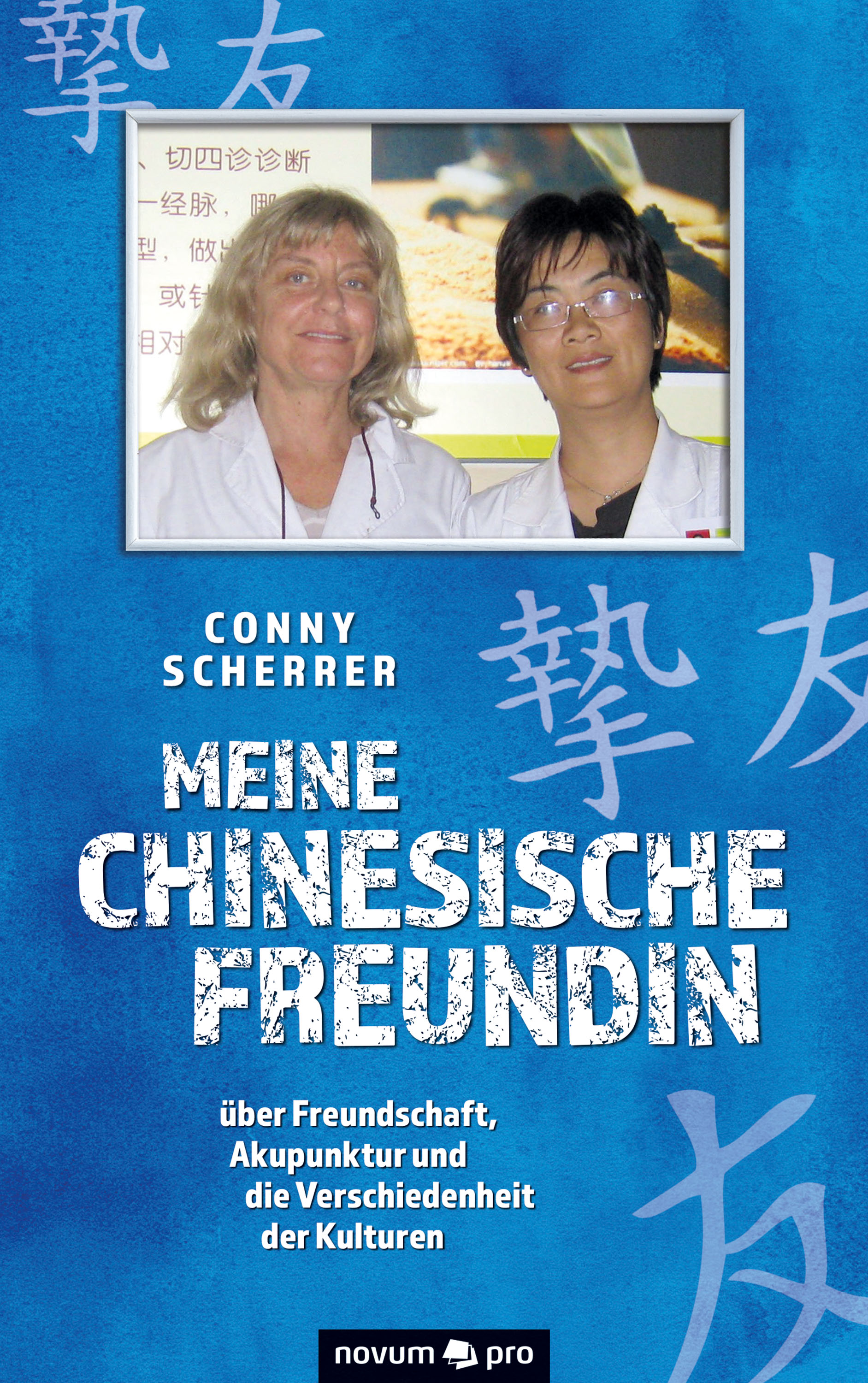 Обложка книги «Meine chinesische Freundin»