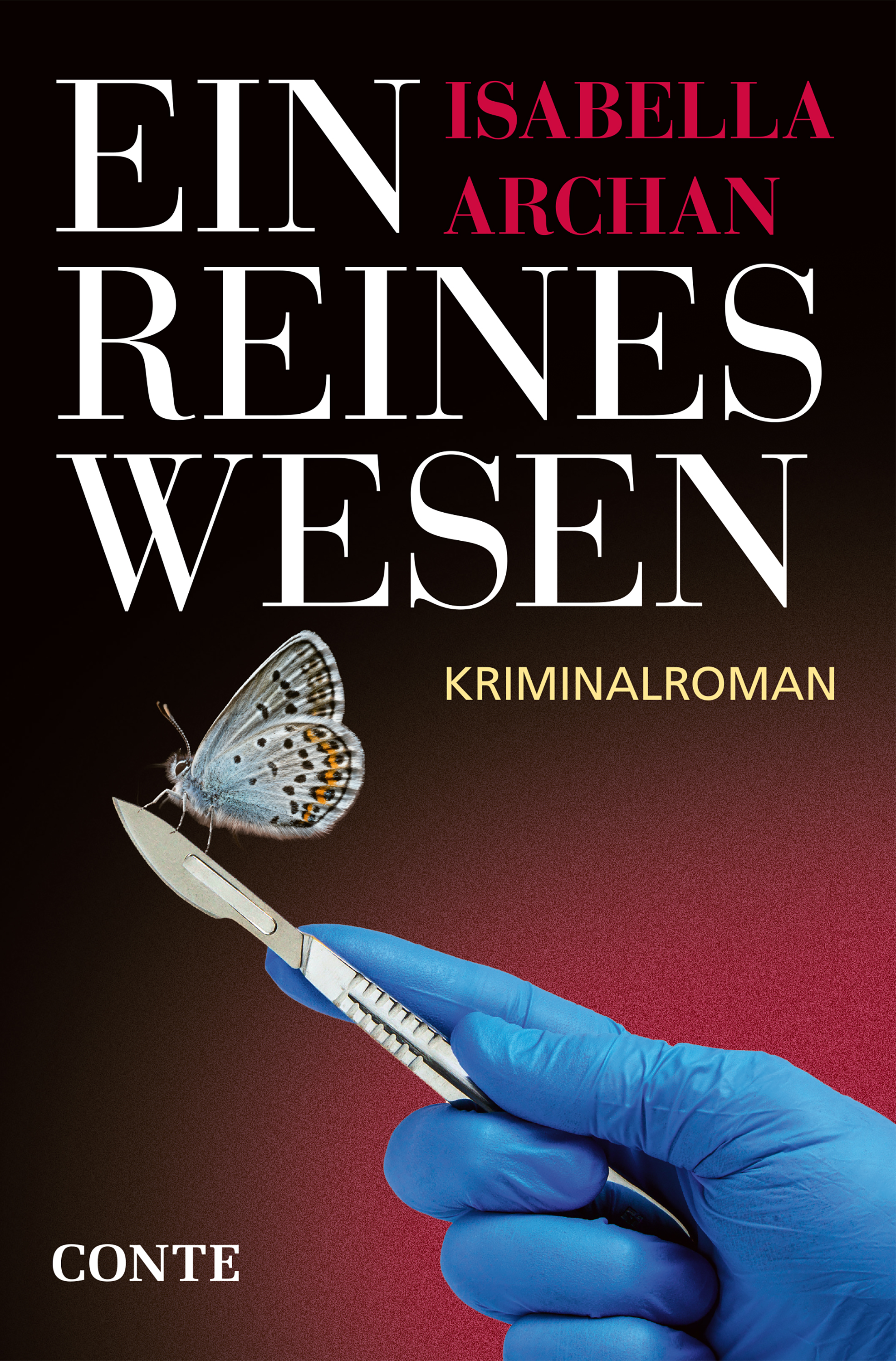Обложка книги «Ein reines Wesen»