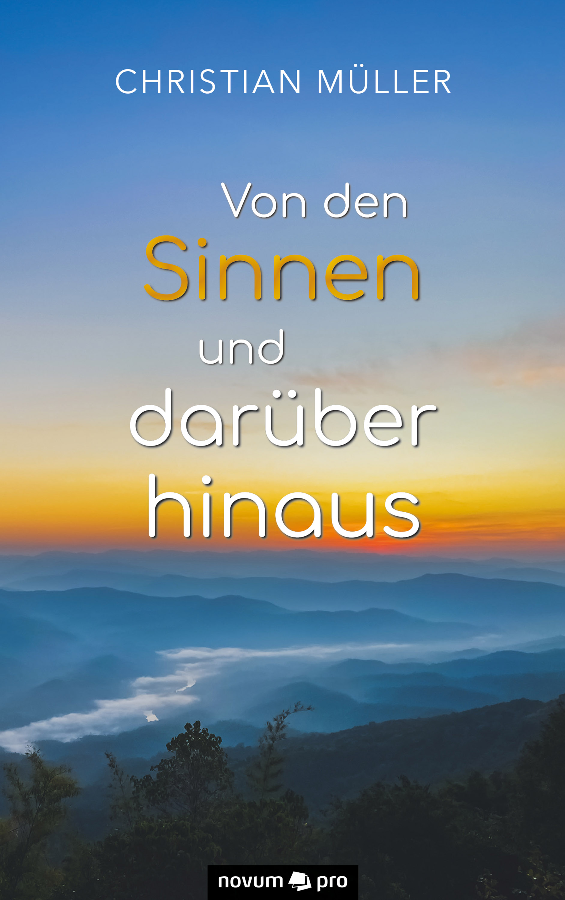 Обложка книги «Von den Sinnen und darüber hinaus»