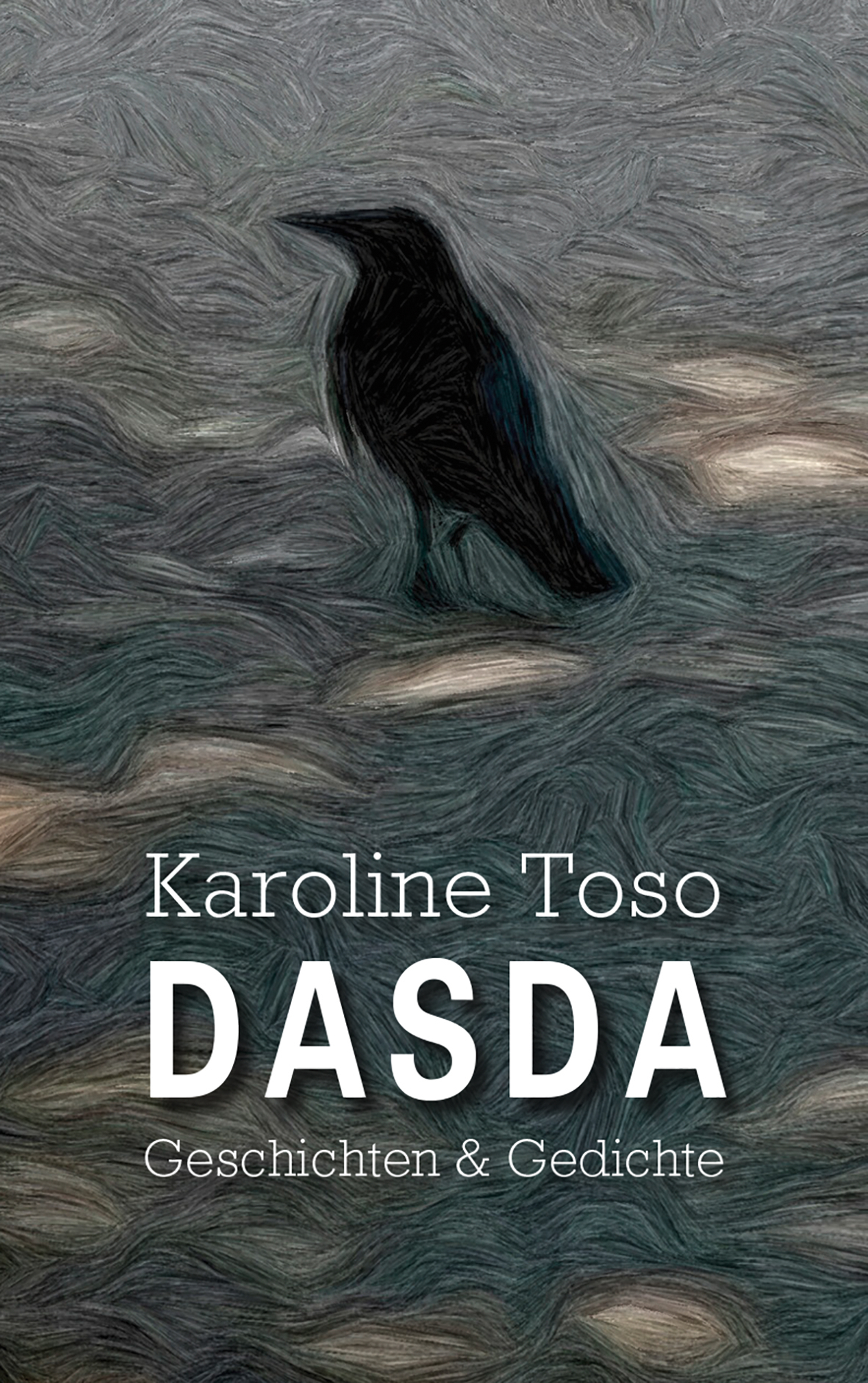 Обложка книги «DASDA»