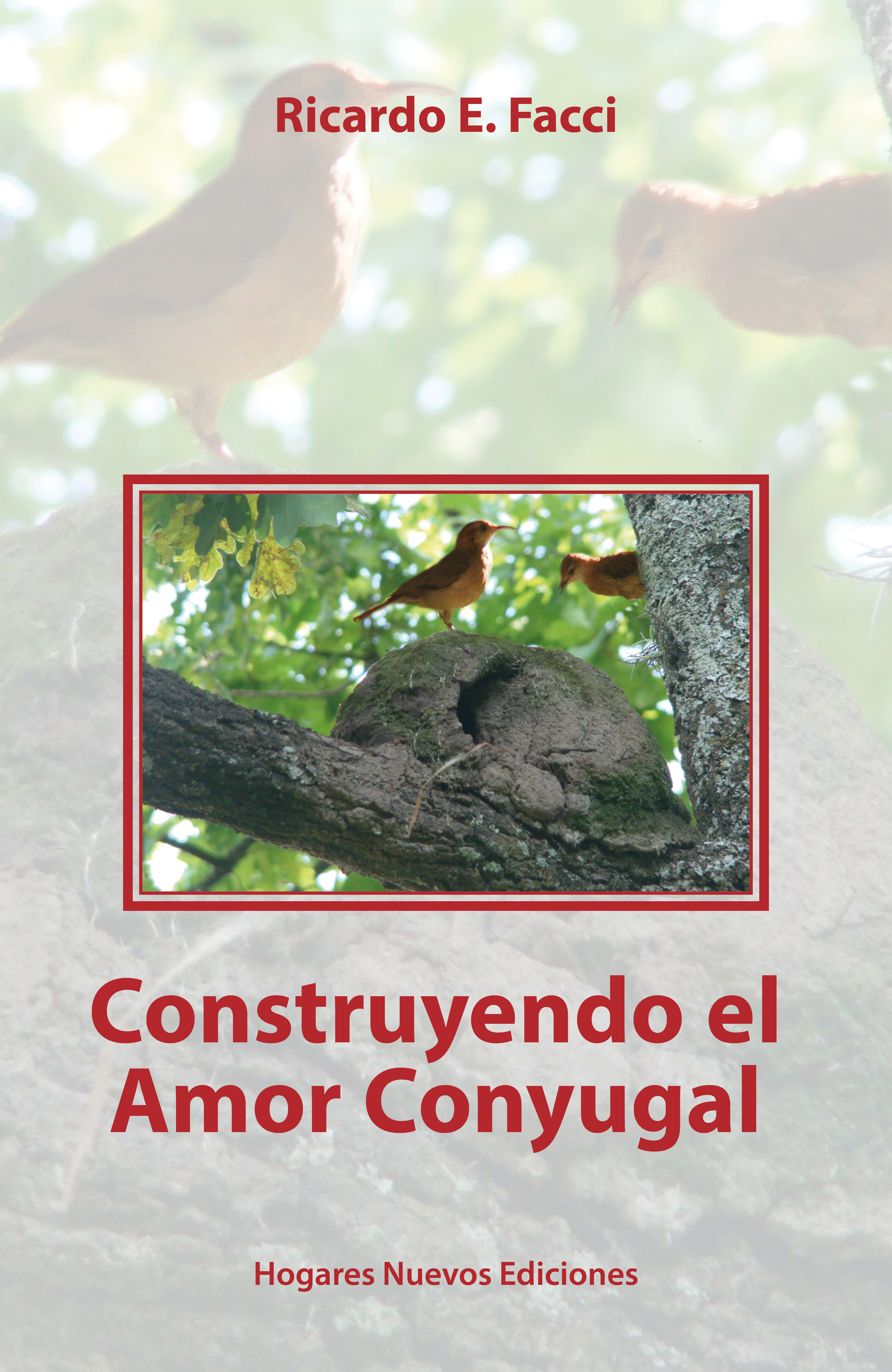 Обложка книги «Construyendo el amor conyugal»