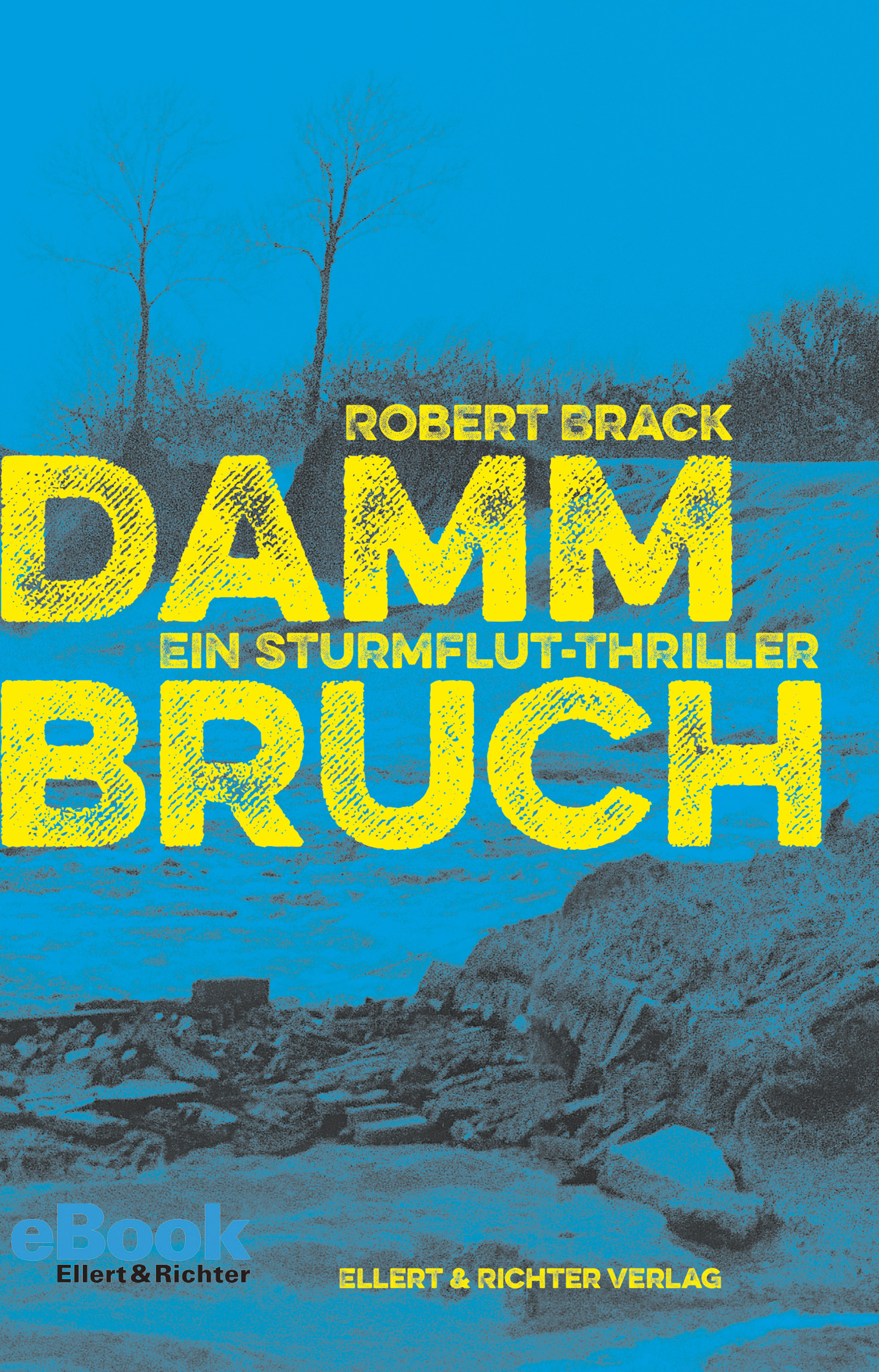 Обложка книги «Dammbruch»