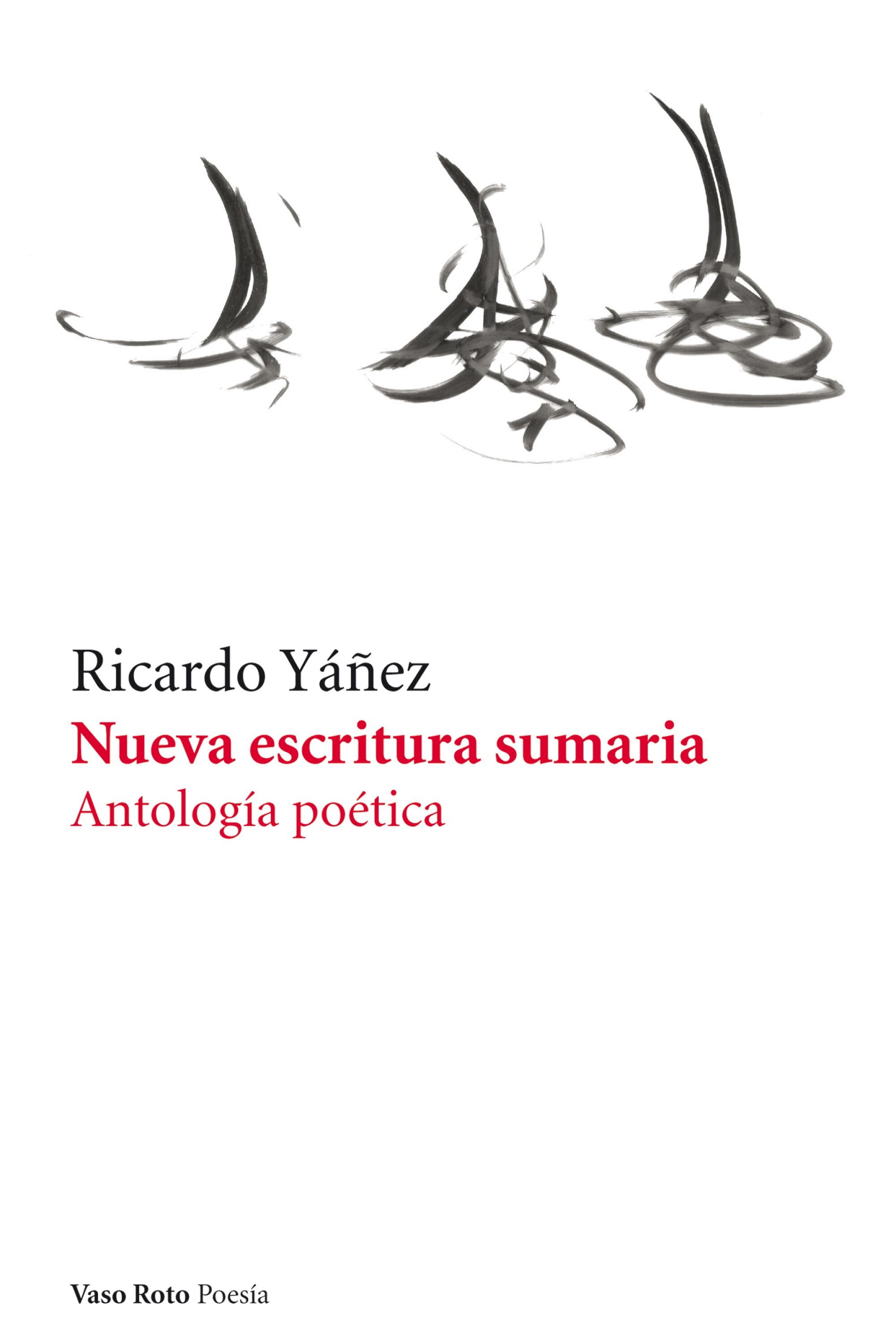 Обложка книги «Nueva escritura sumaria»
