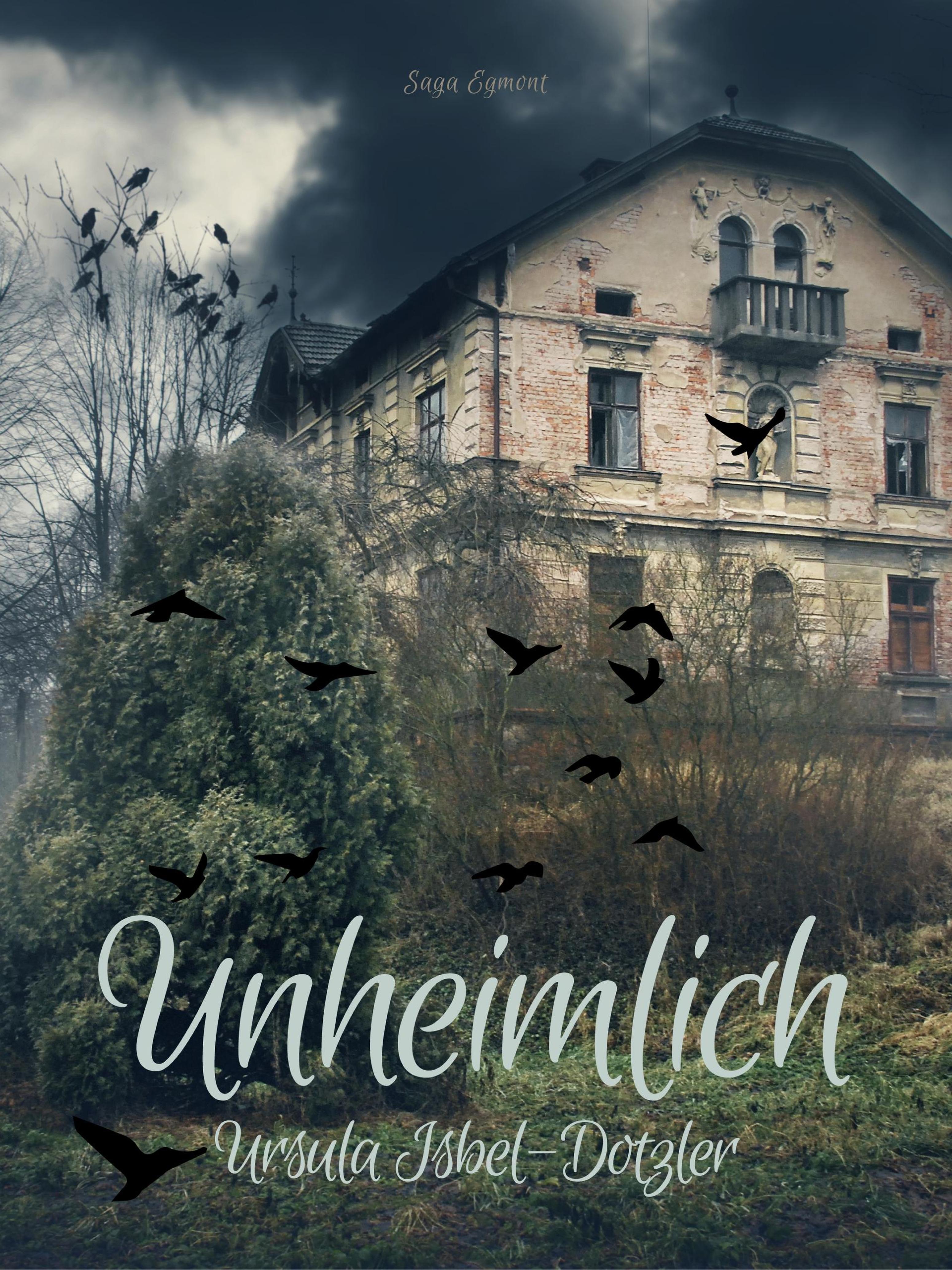 Обложка книги «Unheimlich»