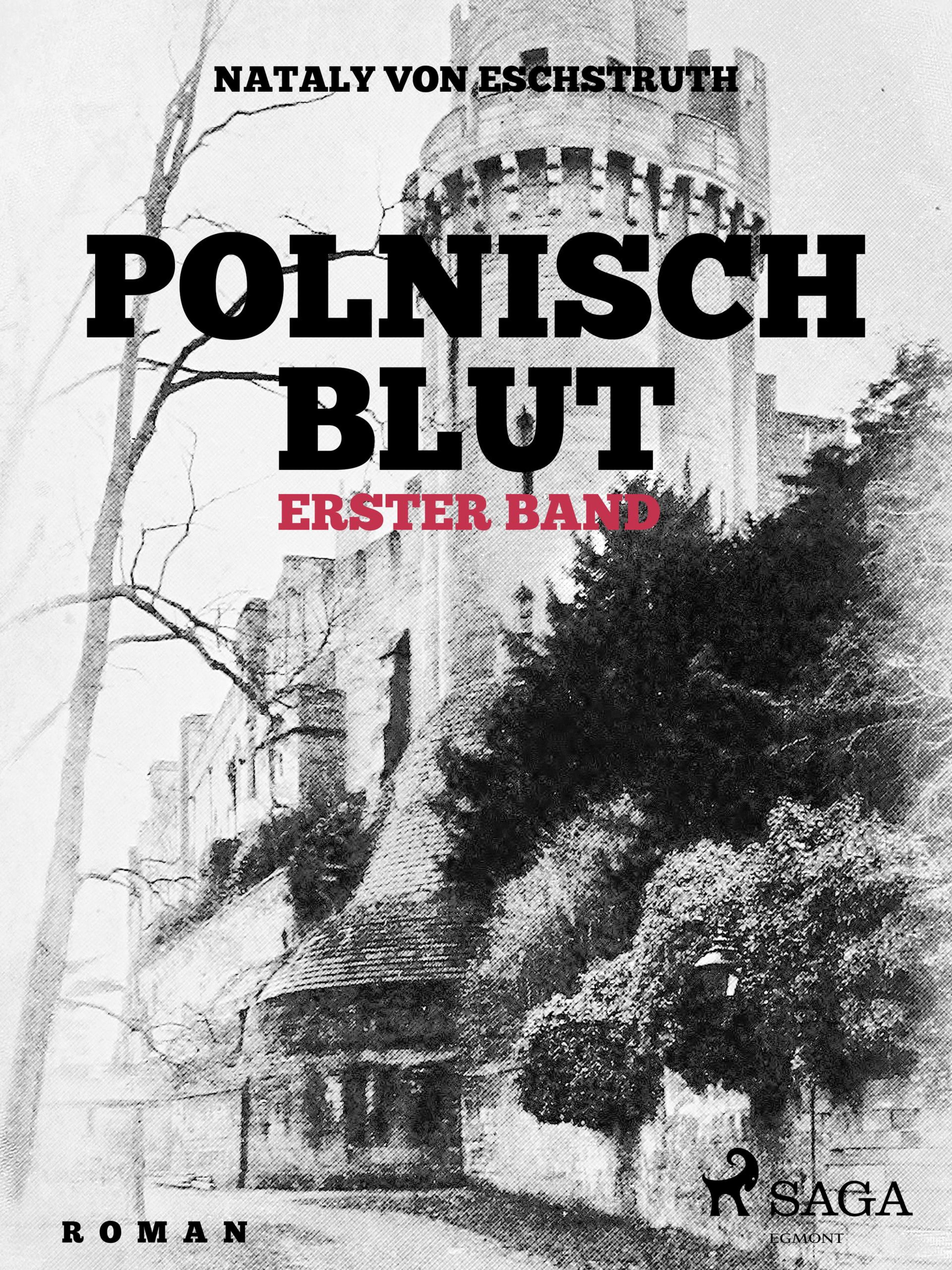 Обложка книги «Polnisch Blut - erster Band»