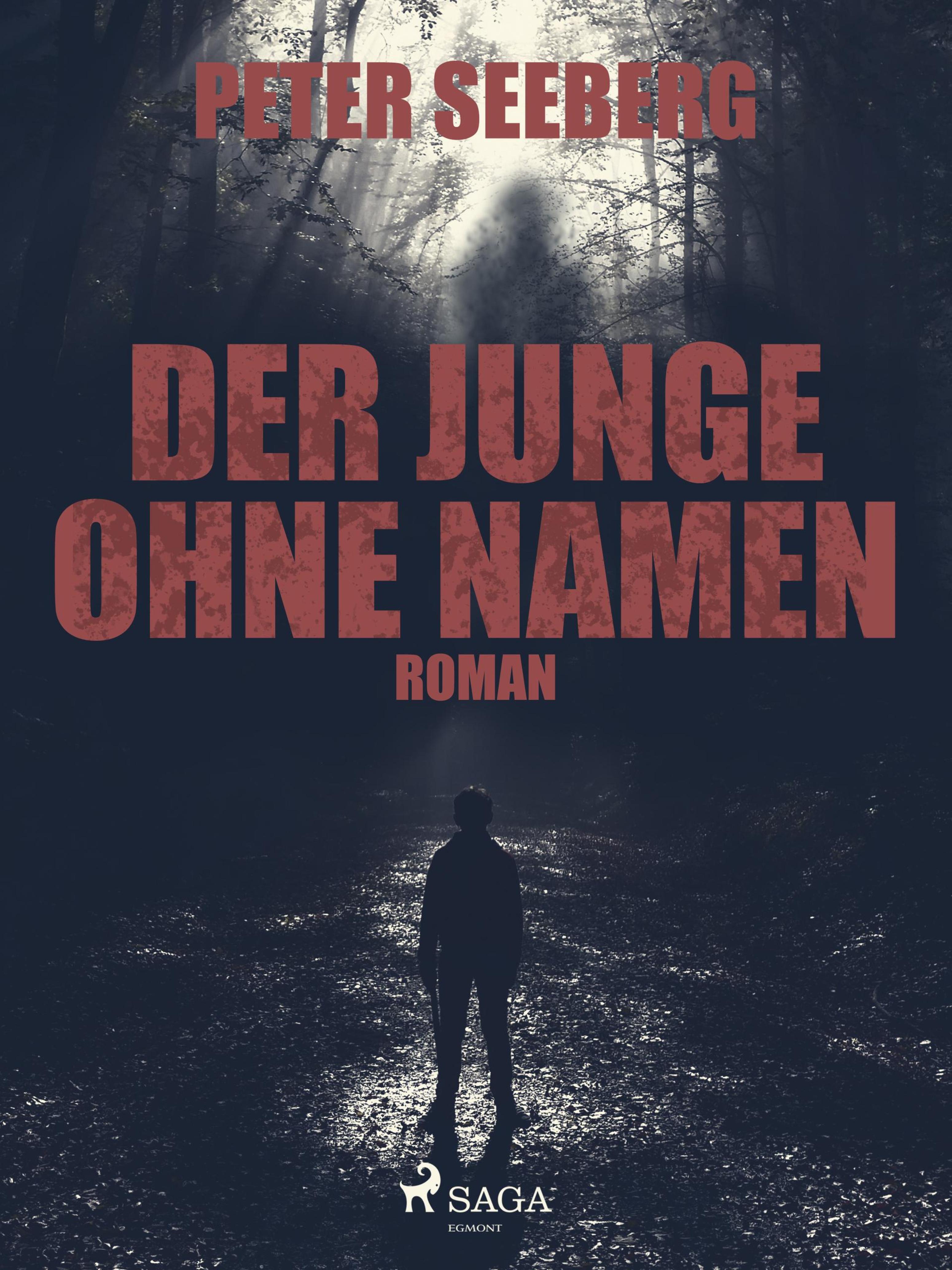 Обложка книги «Der Junge ohne Namen»